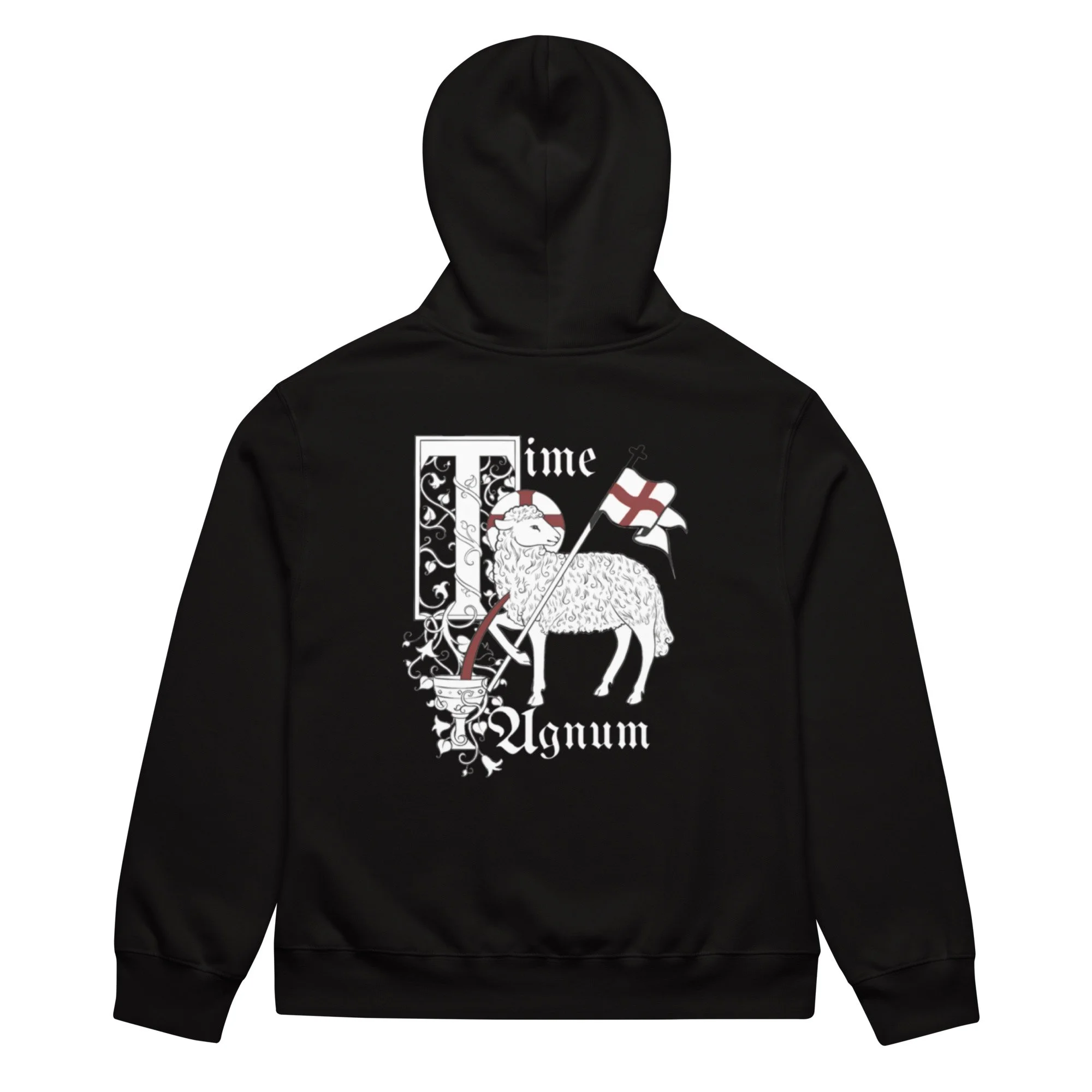unisex-oversized-heavyweight-hoodie-black-back-69e8003574024.jpg