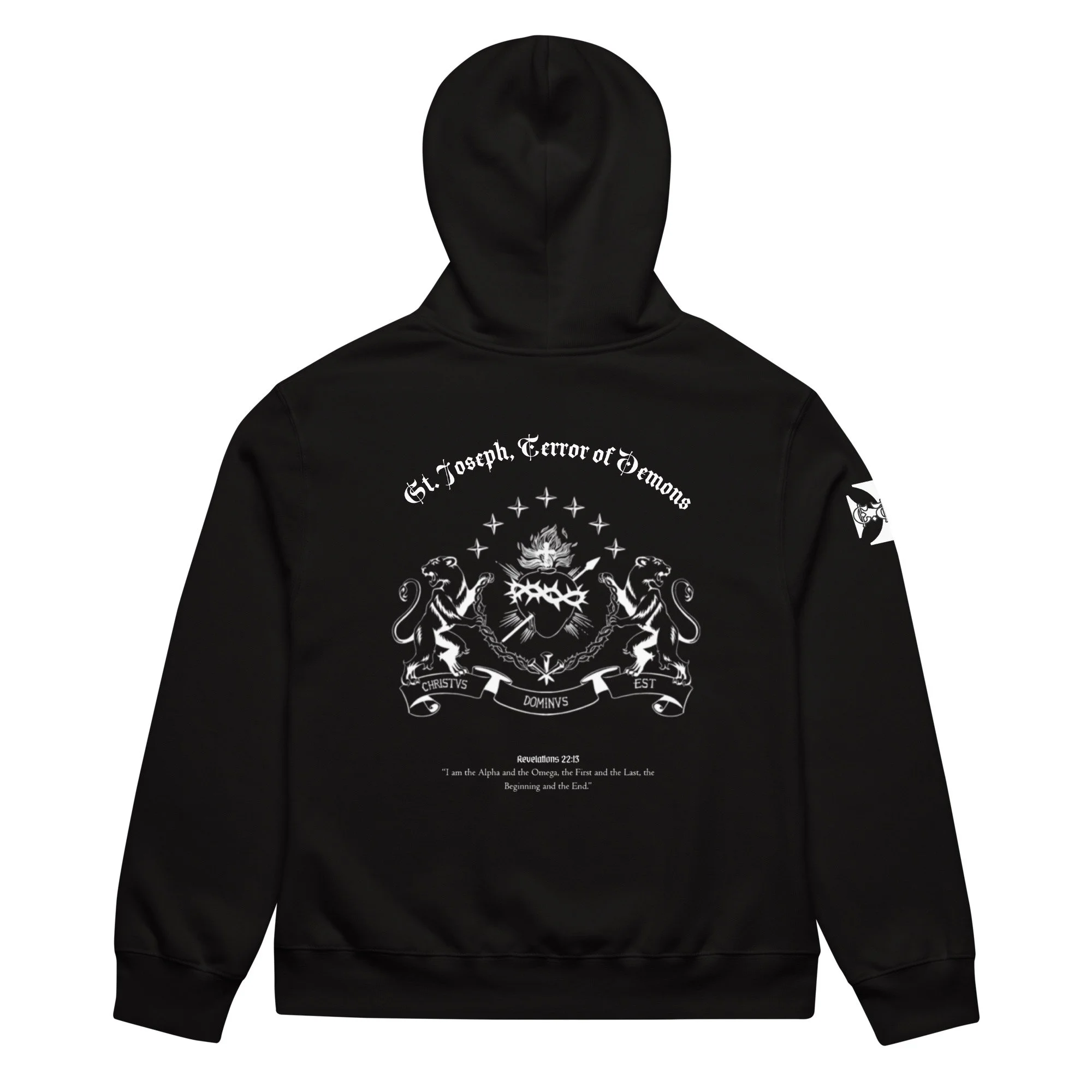 unisex-oversized-heavyweight-hoodie-black-back-6a3ea1c81f889.jpg