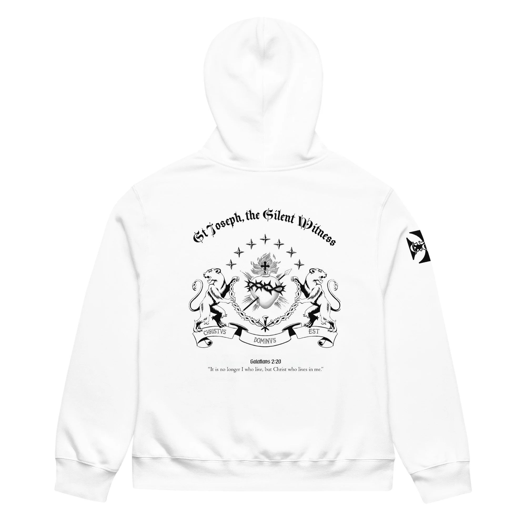 unisex-oversized-heavyweight-hoodie-white-back-6a3ea24501000.jpg