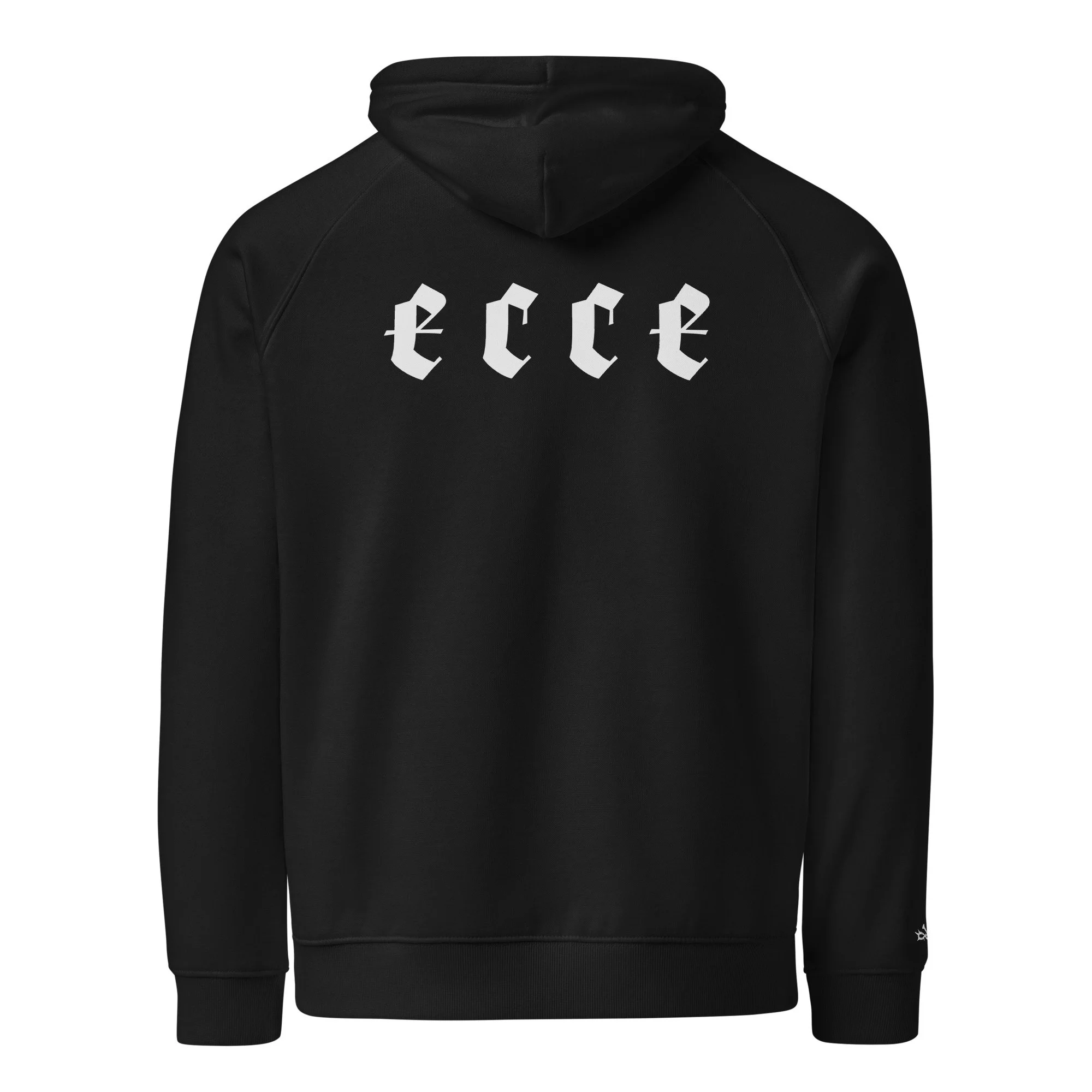 unisex-eco-raglan-hoodie-black-back-6aa61c5fee54d.jpg