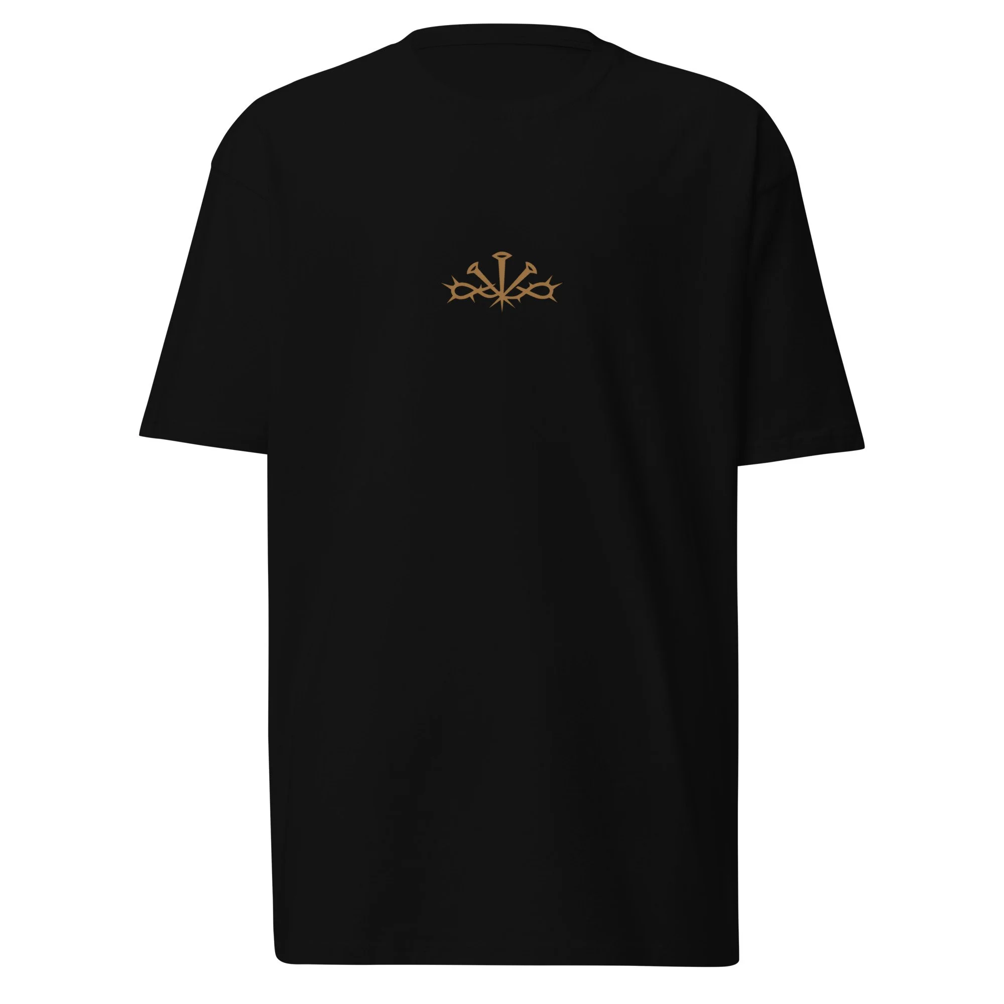 mens-premium-heavyweight-tee-black-front-6abd1f9d86885.jpg