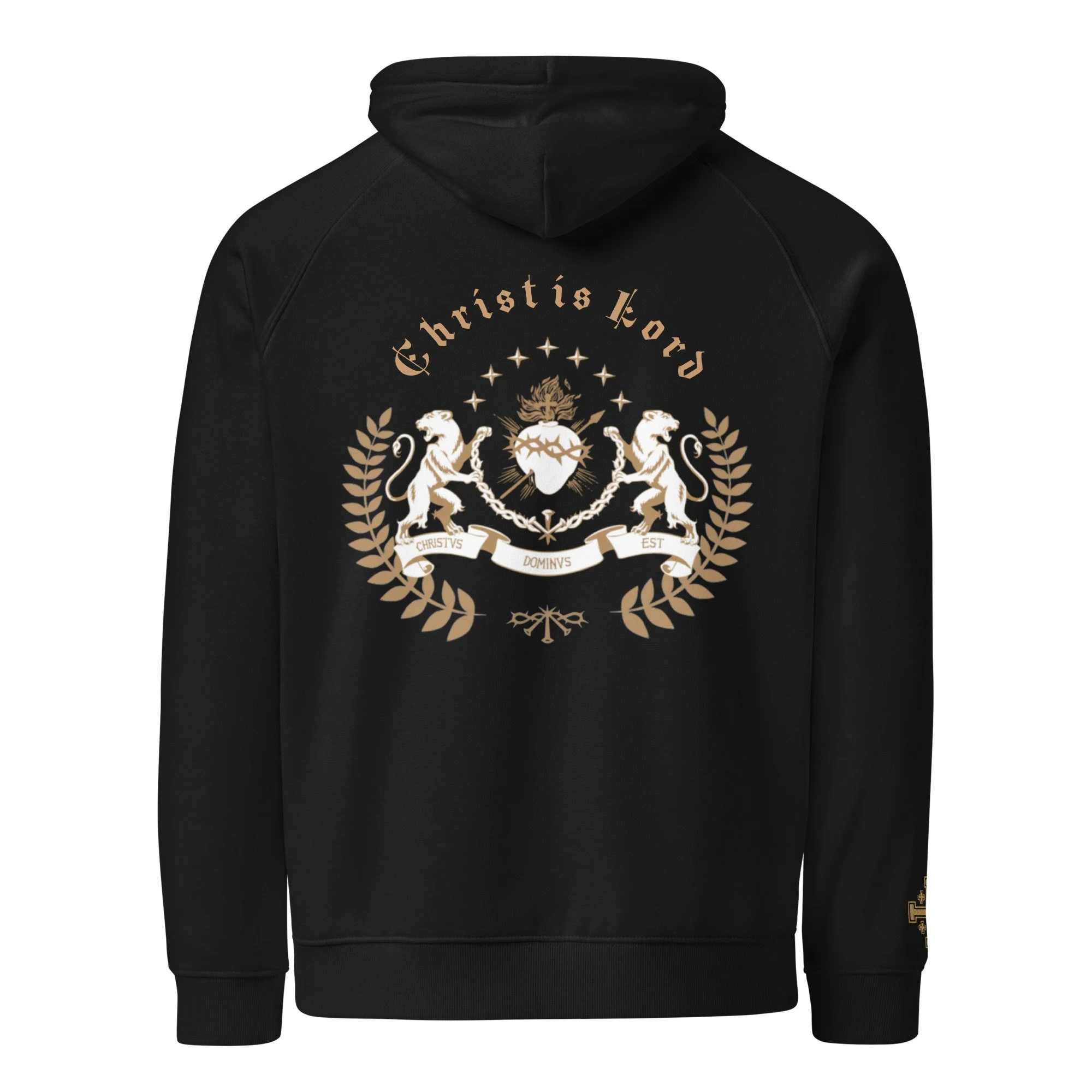 unisex-eco-raglan-hoodie-black-back-6ade9b7d1703f.jpg