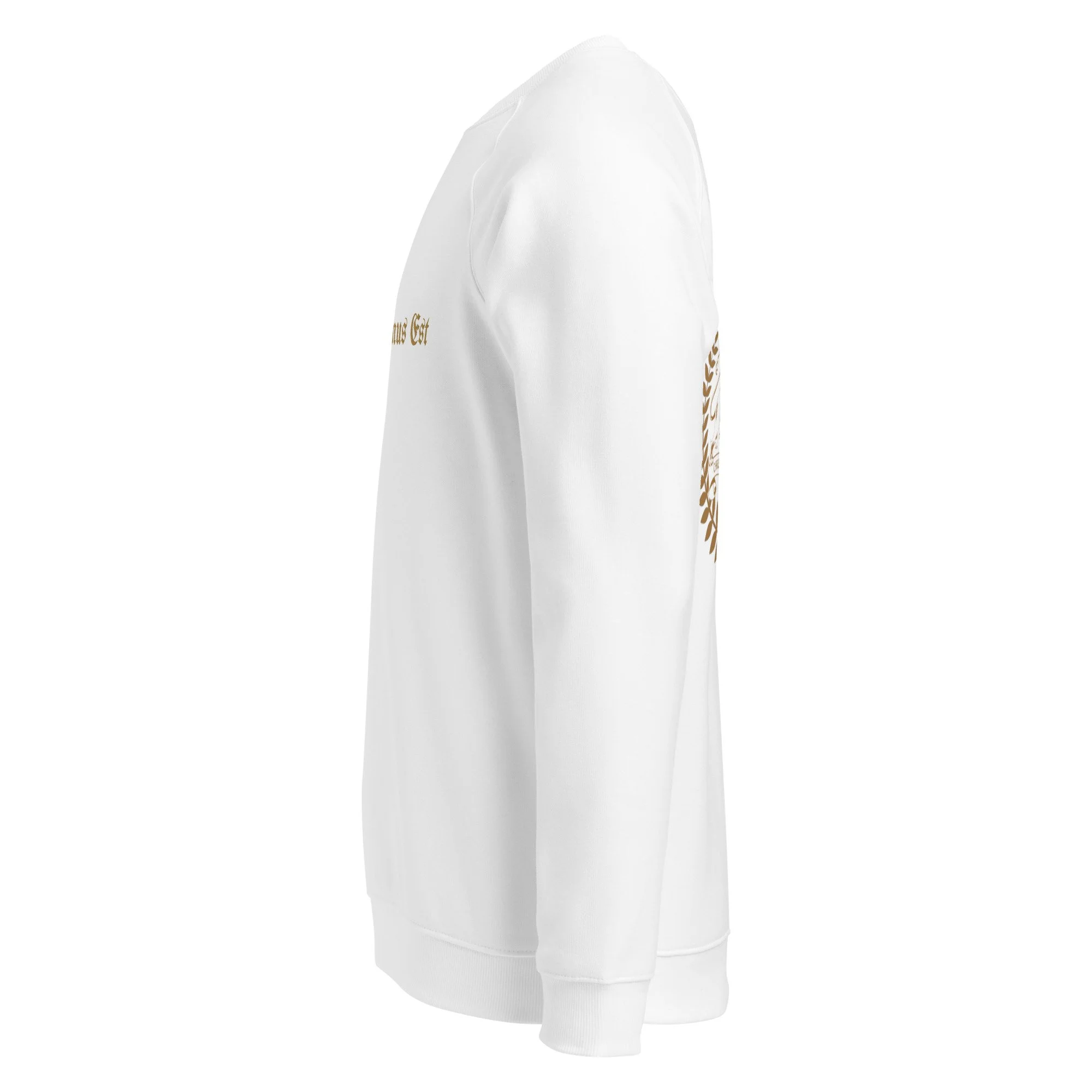 unisex-organic-raglan-sweatshirt-white-left-6adea2ba945a5.jpg