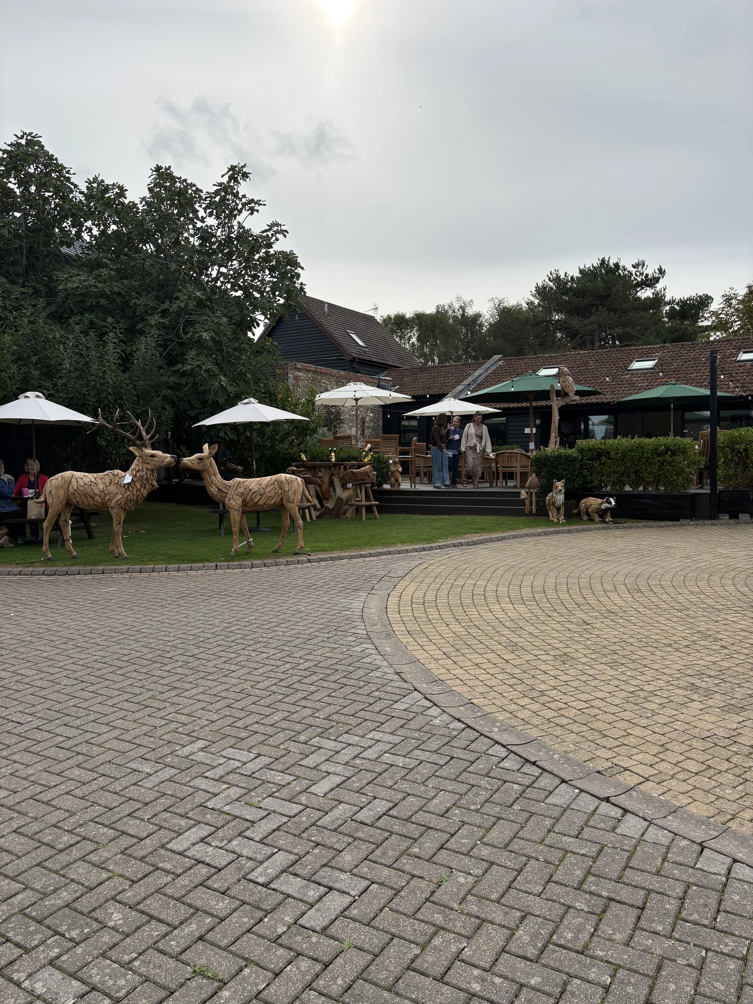 IMG_0143.jpeg