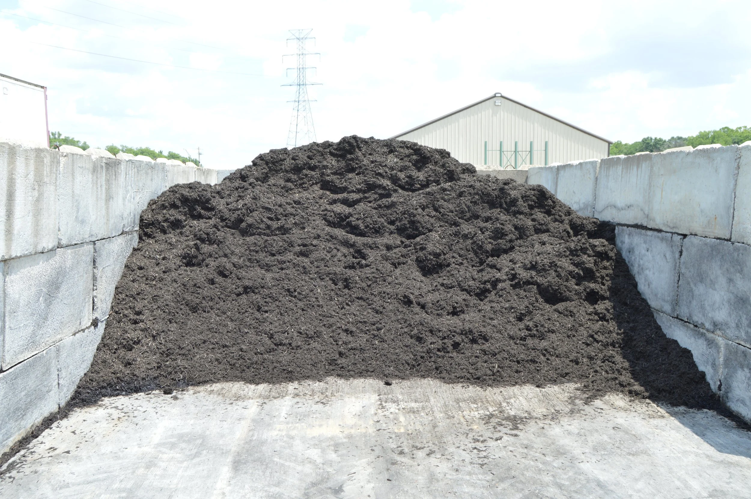 Black Mulch.JPG