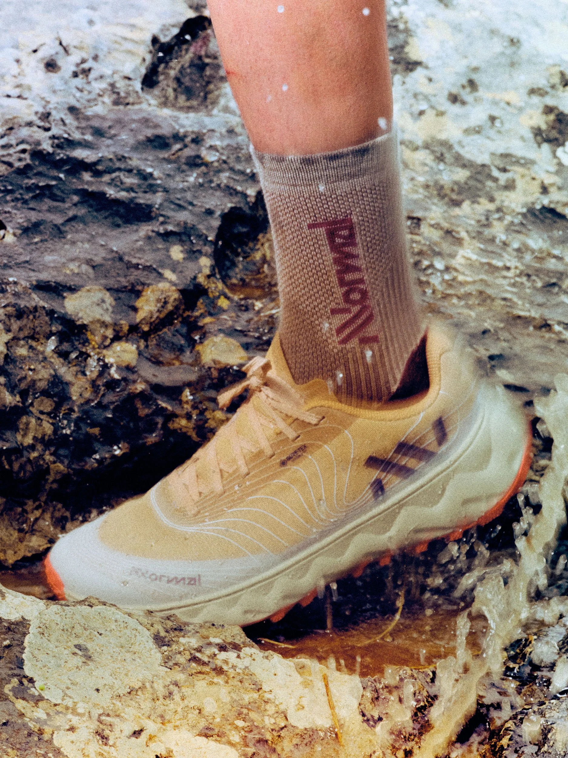 NNormalSS26-grain 23.jpg