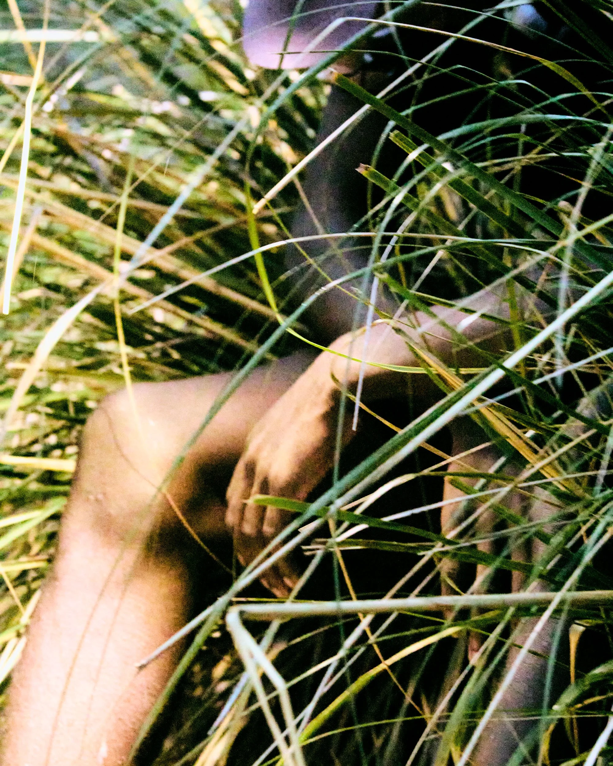 NNormalSS26-grain 40.jpg