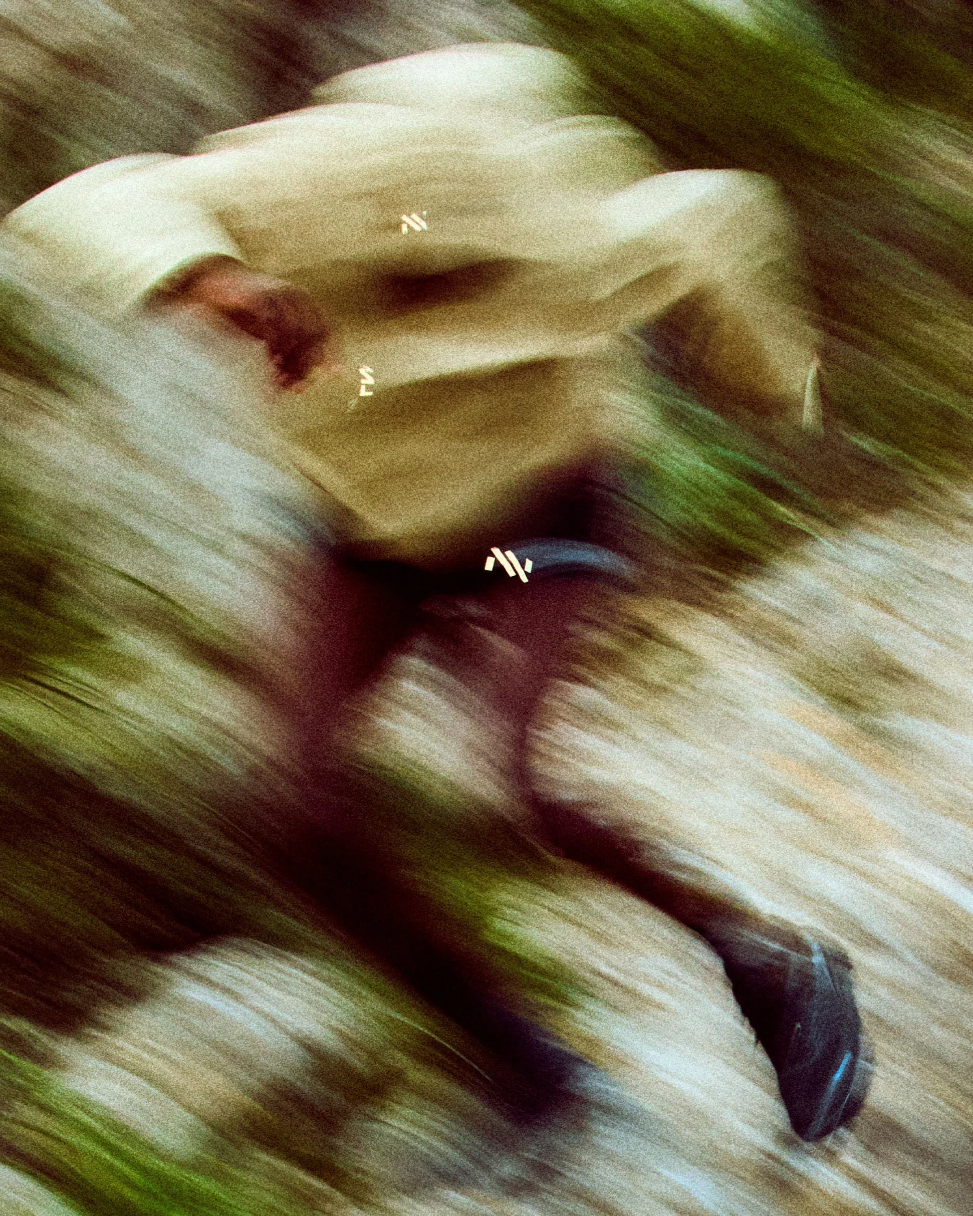 NNormalSS26-grain 26.jpg