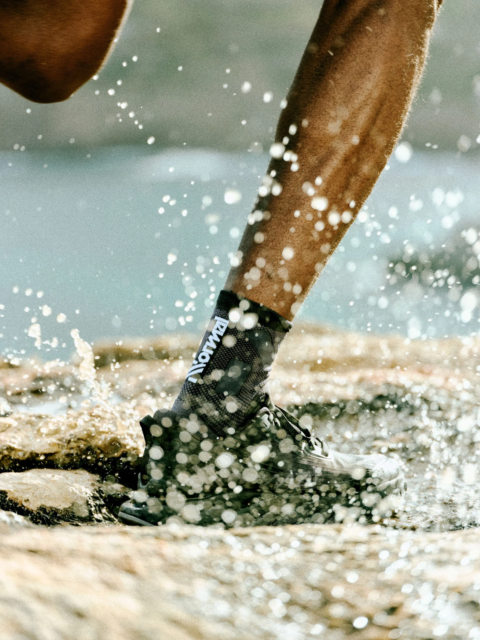 NNormalSS26-grain 52.jpg