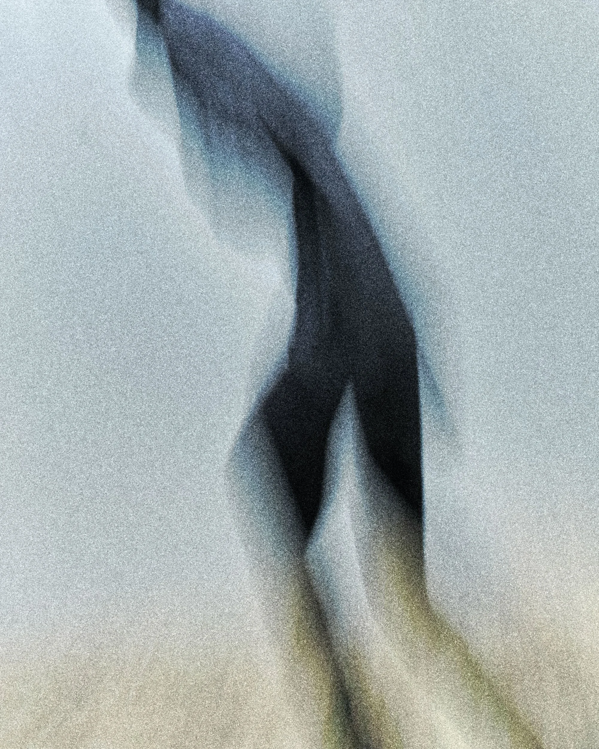 24_NNormal_Emanuele_Lestser_4x5_61.jpg