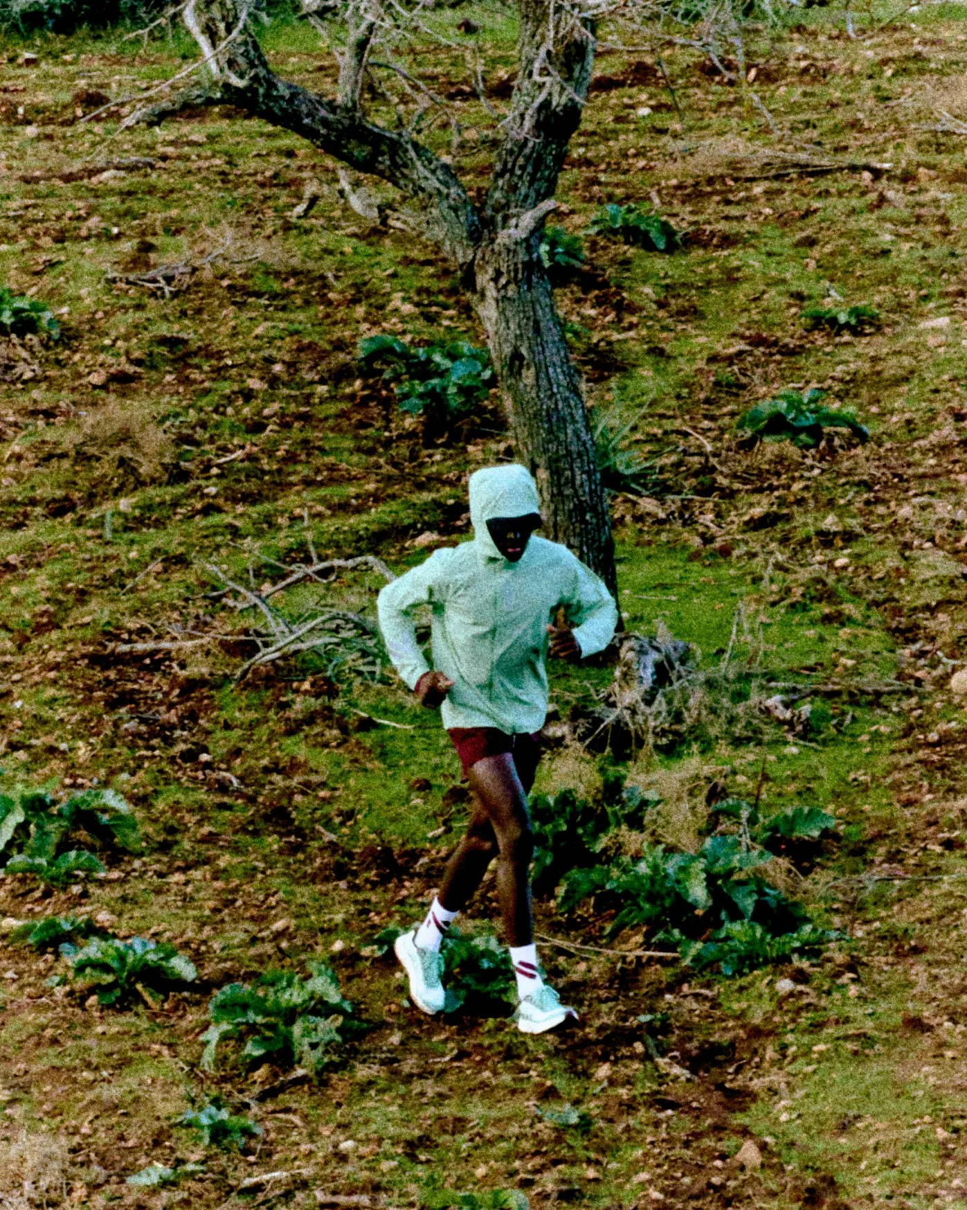 NNormalSS26-grain 11.jpg