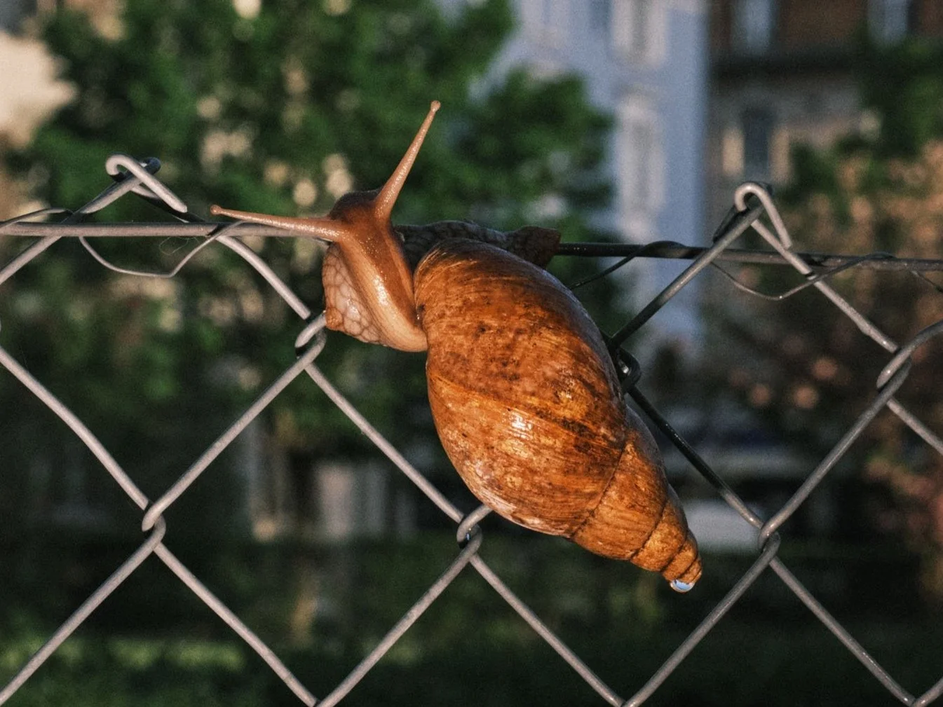 Fragments of Bussigny