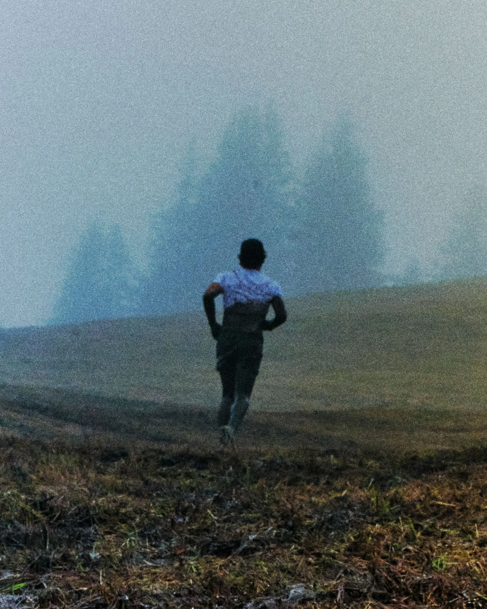 24_NNormal_Emanuele_Lestser_4x5_96.jpg