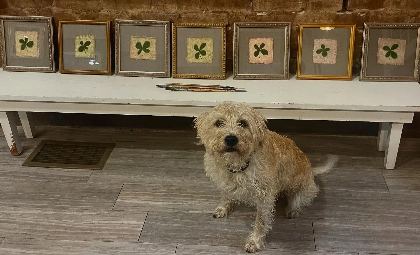 Sweet Clover is so proud of these little paintings that he totally thinks he inspired