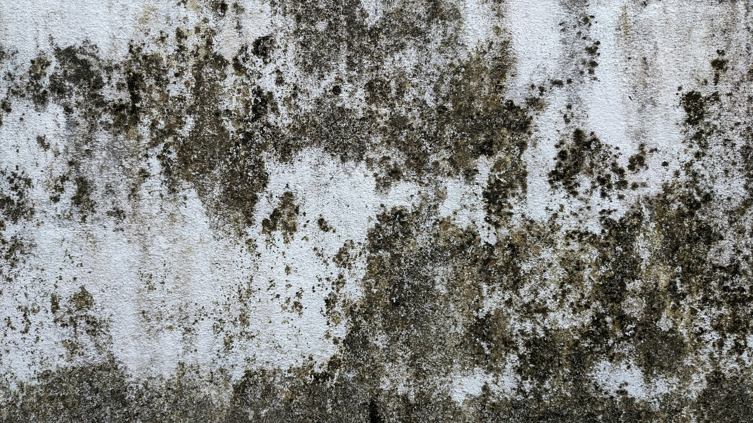 Mold Exposure: Symptoms, Root Causes &amp; Why Some People Can’t Eliminate It 