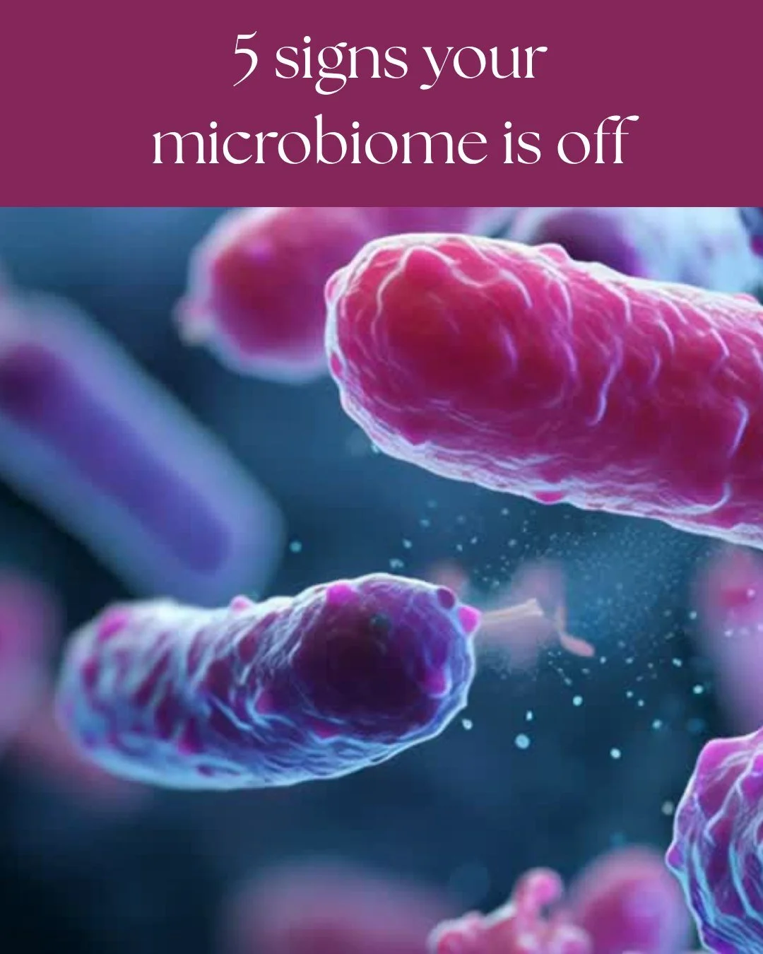 5 Signs Your Gut Microbiome Is Screaming for Help 🚨

🧠 Brain Fog? Struggling to think clearly or feel sharp? Your gut bacteria might be messing with your brain. 
🍩 Crazy Carb Cravings? Can&rsquo;t stop reaching for sugar? That&rsquo;s your bad bug