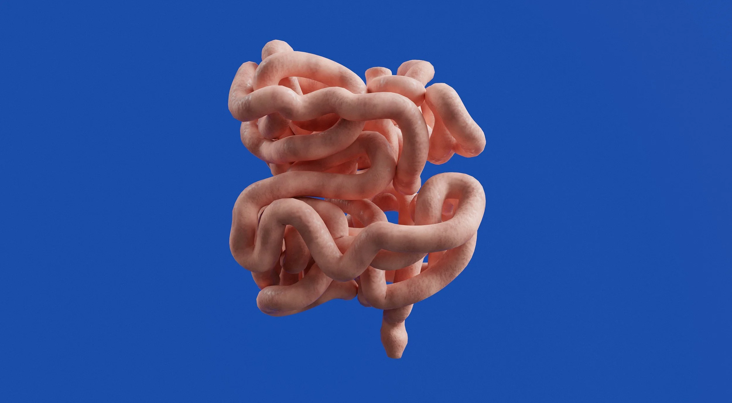 Leaky Gut: What It Is, What Causes It, and How to Heal It