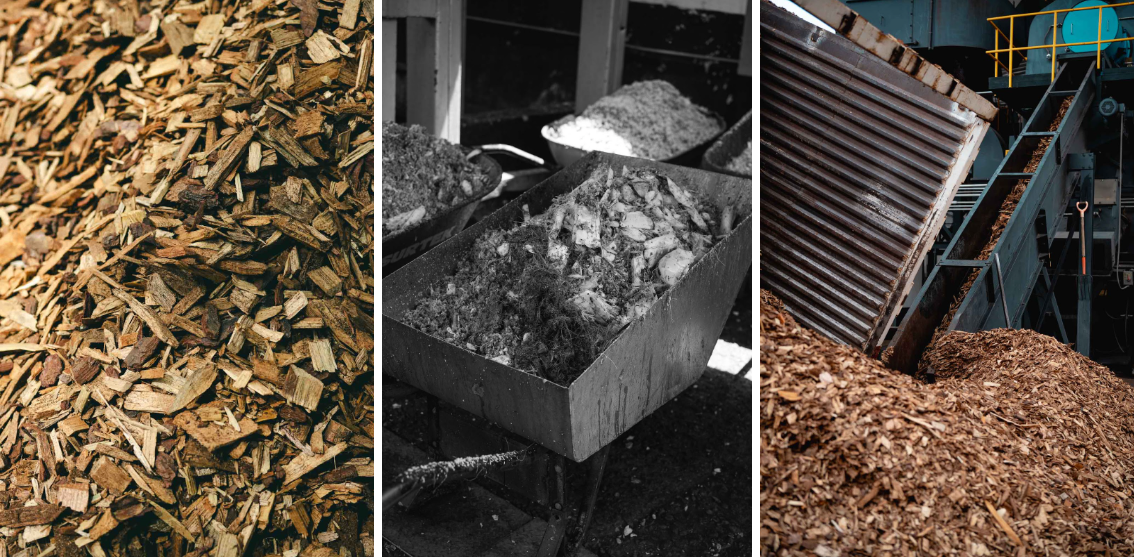 Rooted to the Land: Why Tequila’s Sustainability Story Is Just Beginning