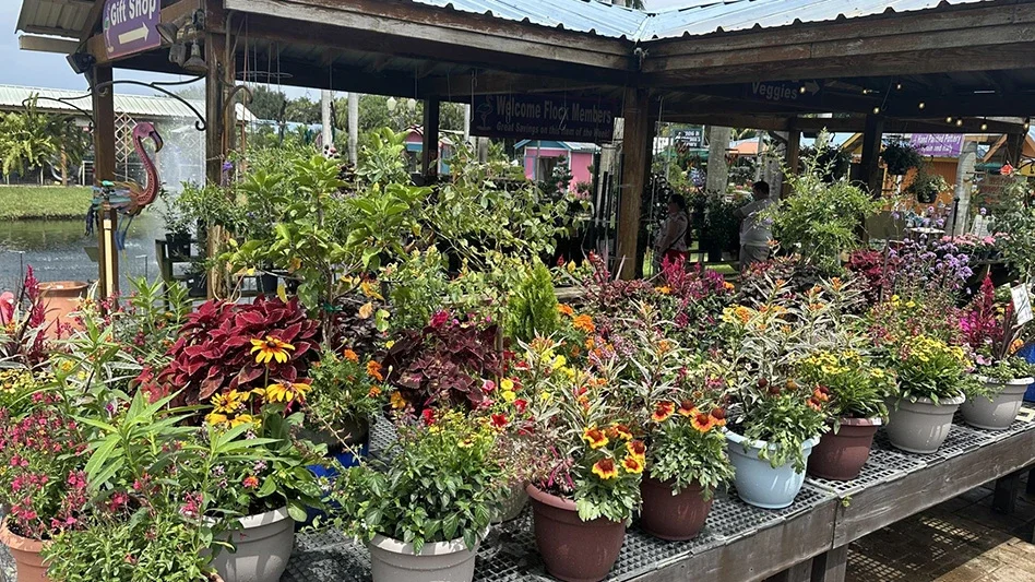 Grab-n-go options can increase summer sales — Garden Center Magazine