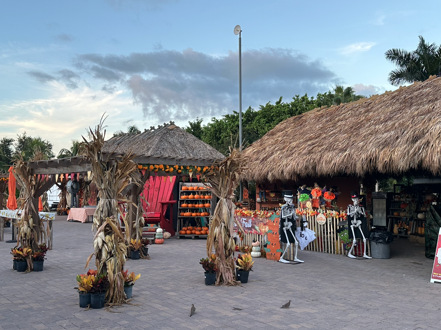 This Florida Garden Center's Busiest Days are in the Fall, not Spring. Find Out How They Do It — Garden Center Magazine