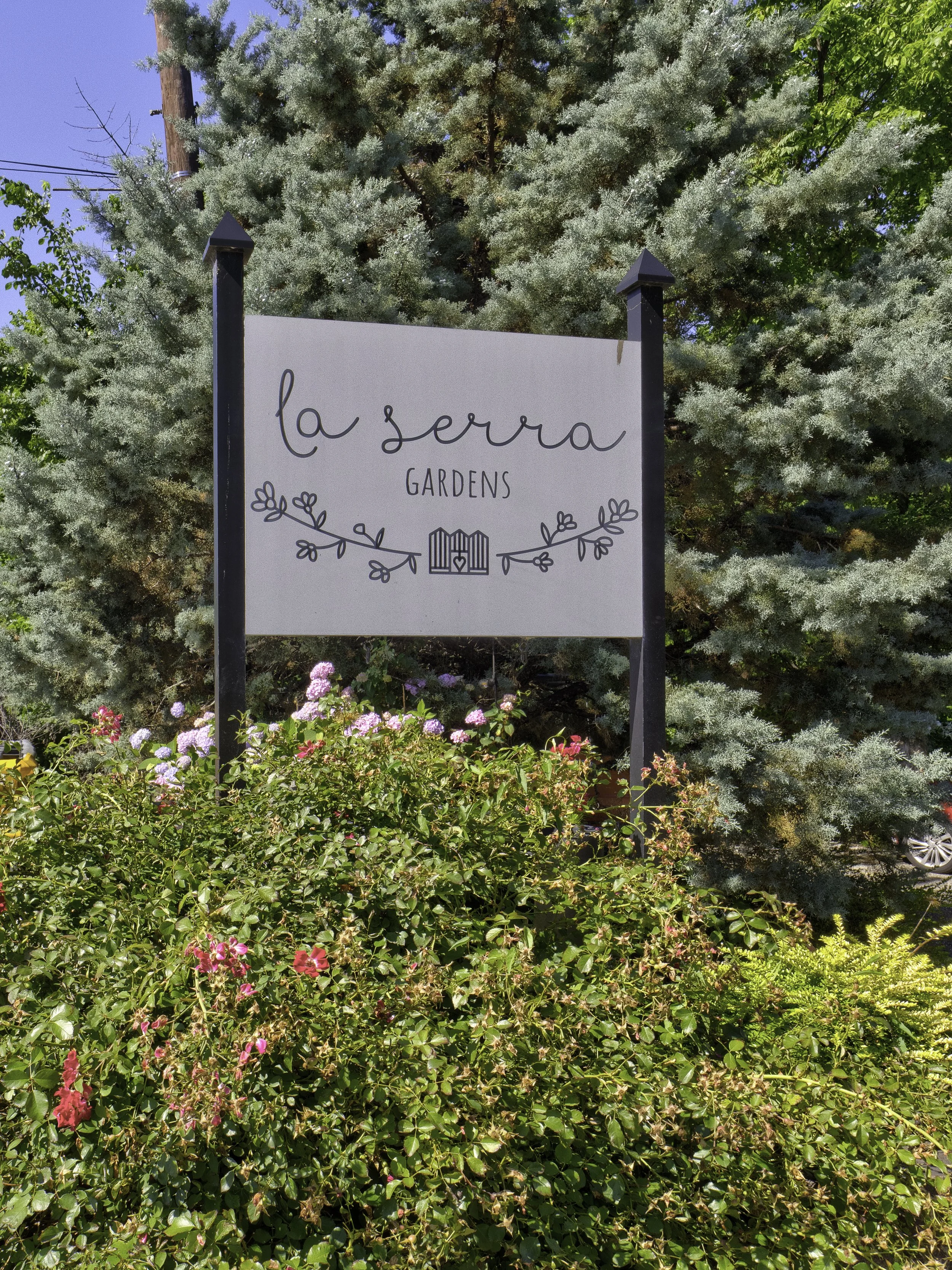 The Greenhouse That Was Almost Condos