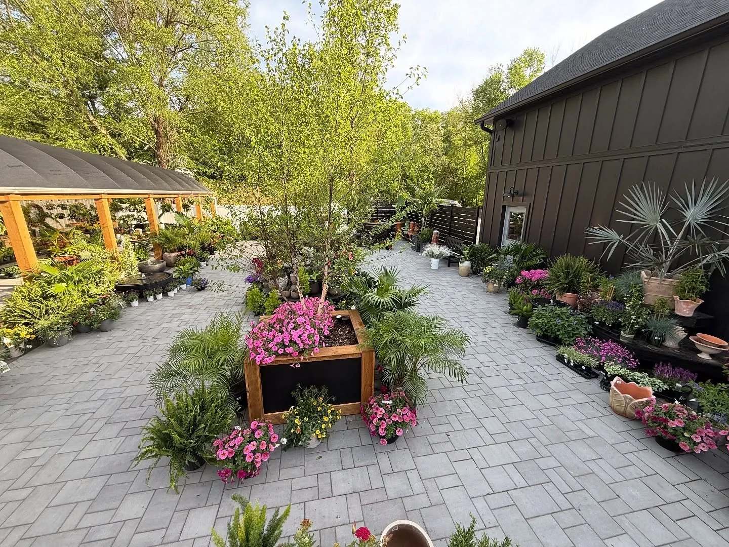 A backyard patio with a variety of potted plants and flowers, including pink and purple blooms, surrounded by trees and a black wooden fence.