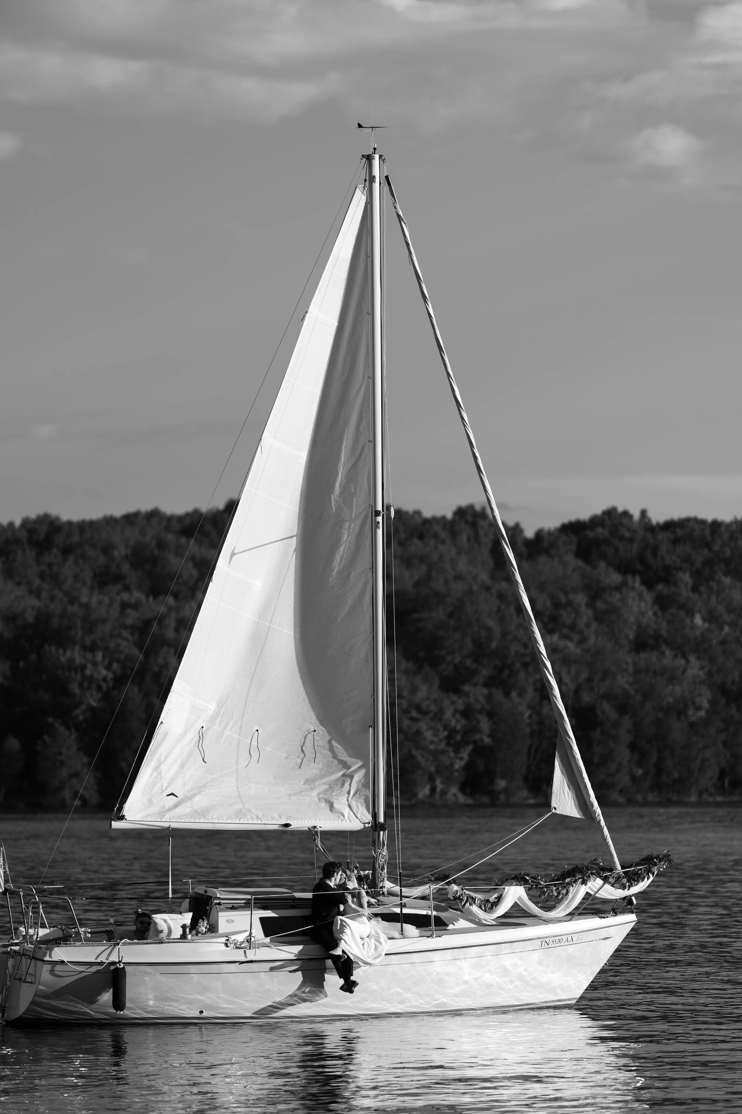 DSC08266.jpg