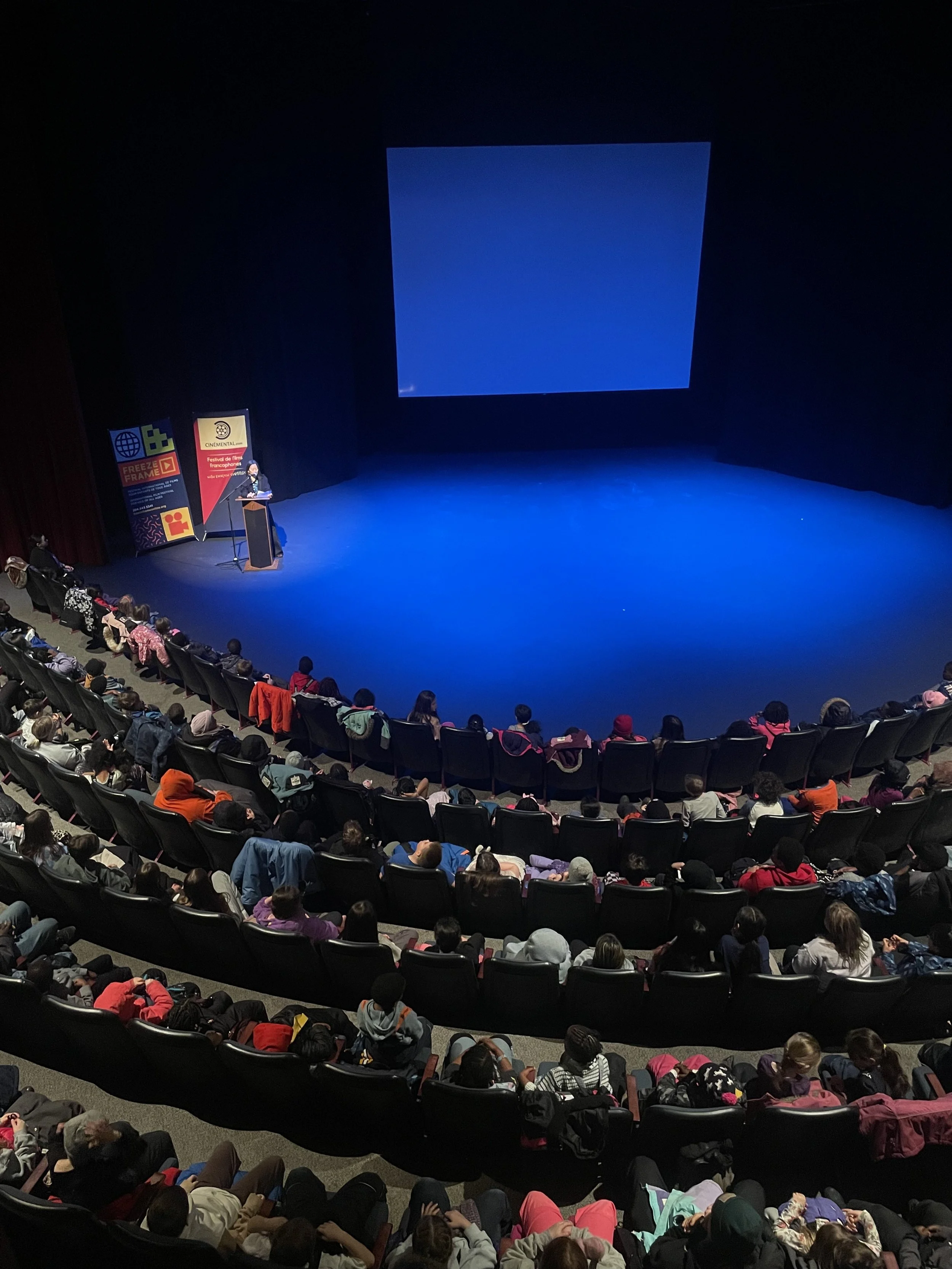 Overhead view of a full film theatre