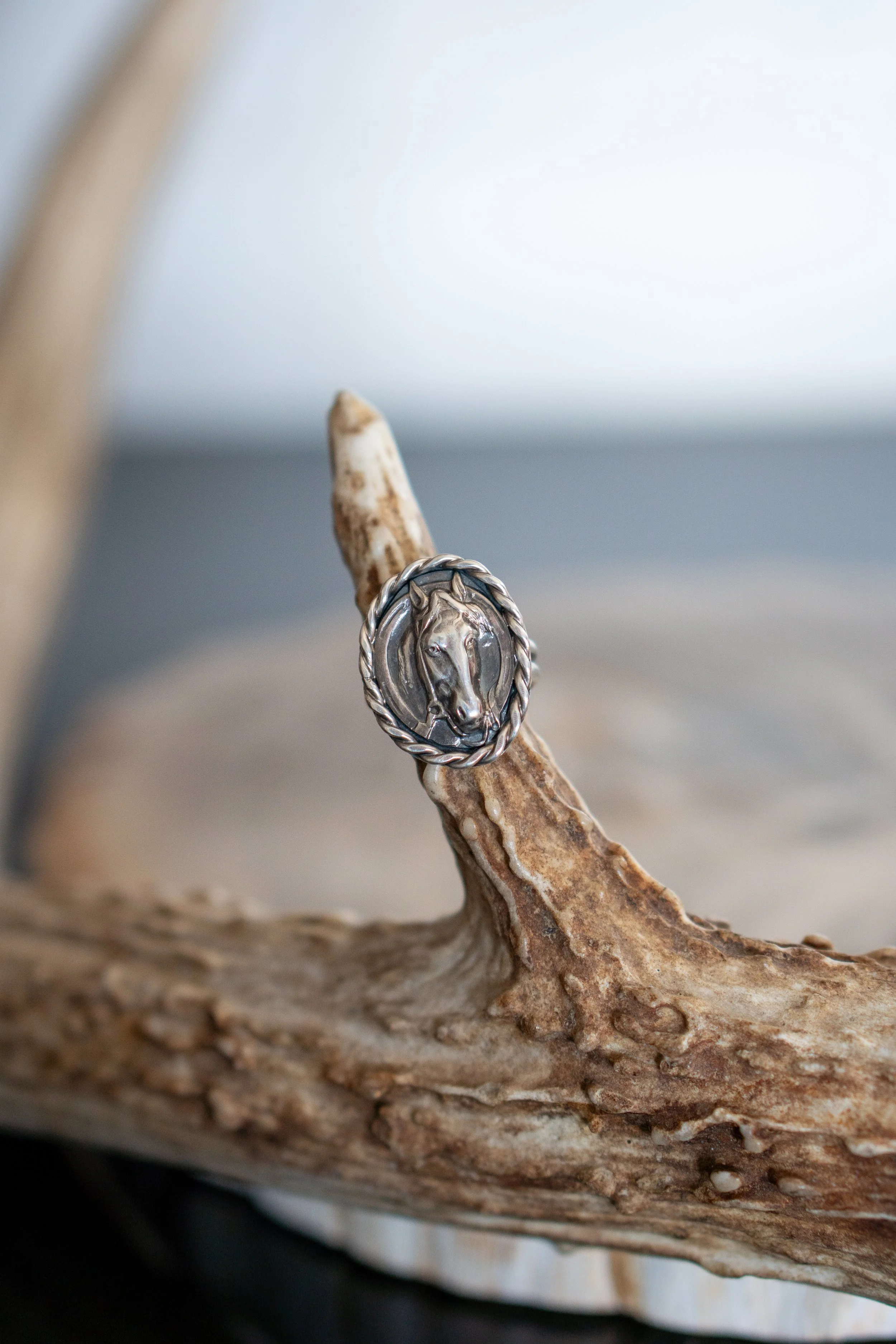 Highwayman Horse  Ring