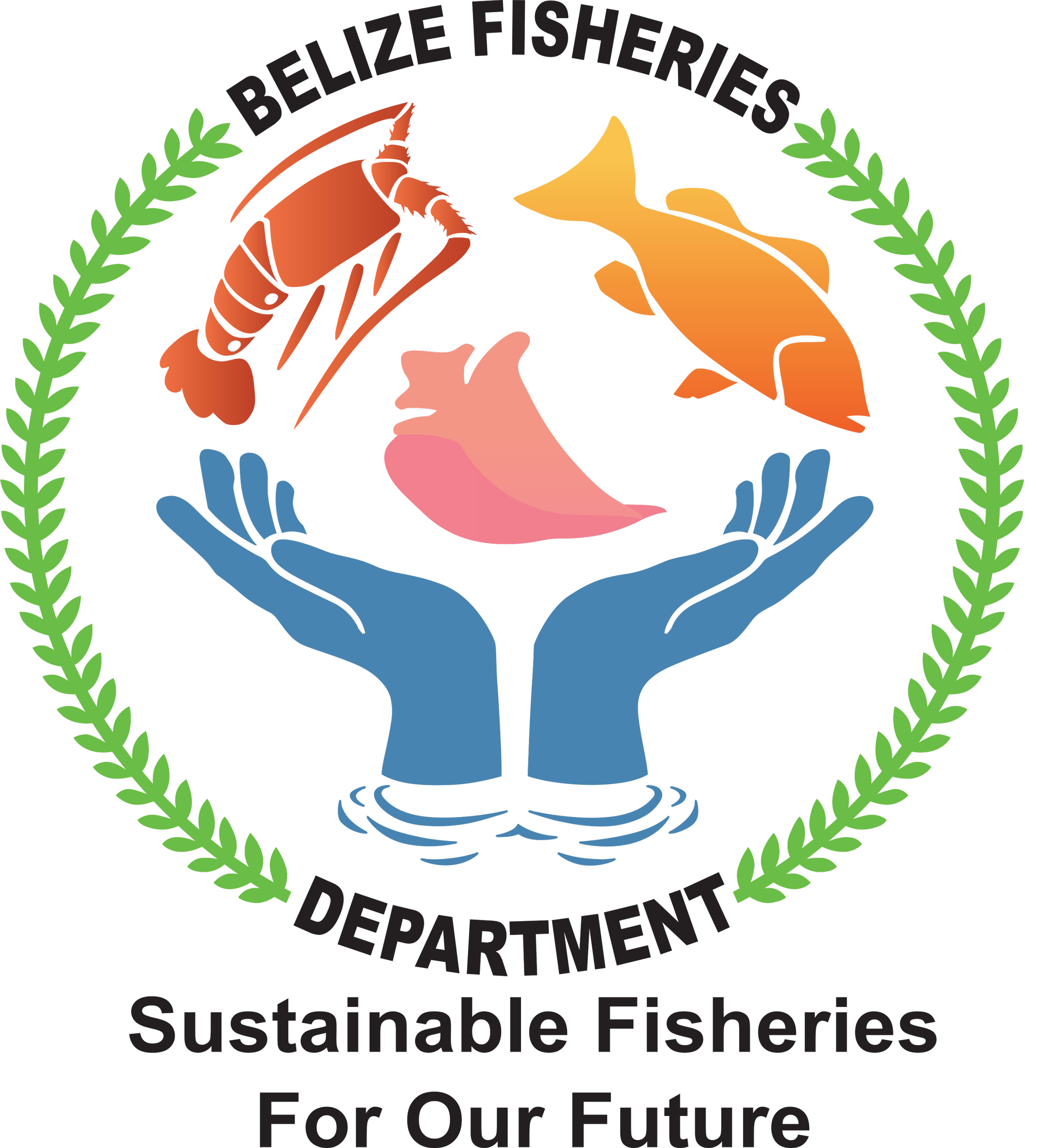 BFD Logo.png