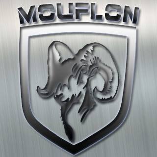 mouflon1.jpg