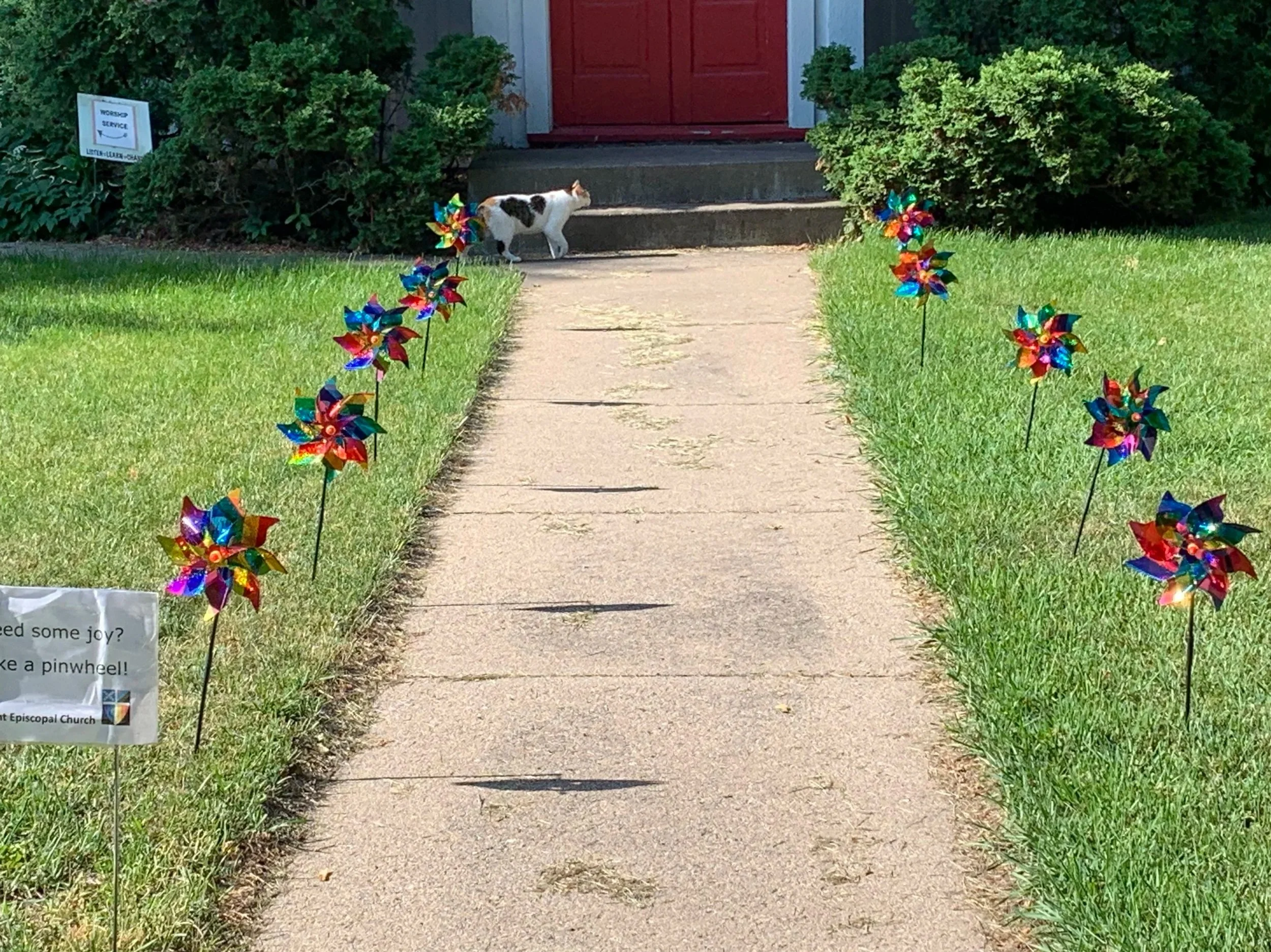 Offering a little joy to the neighborhood!