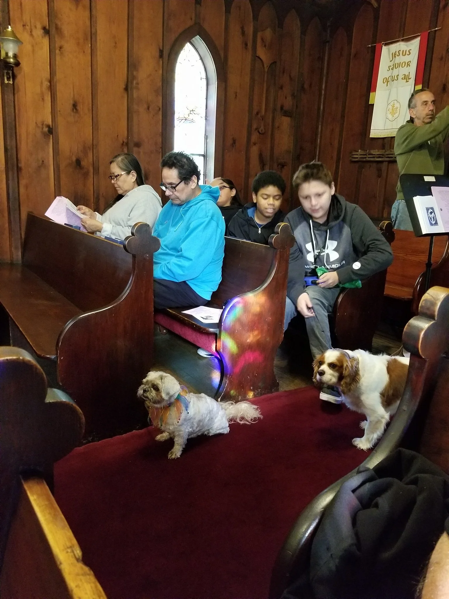 Blessing of the animals