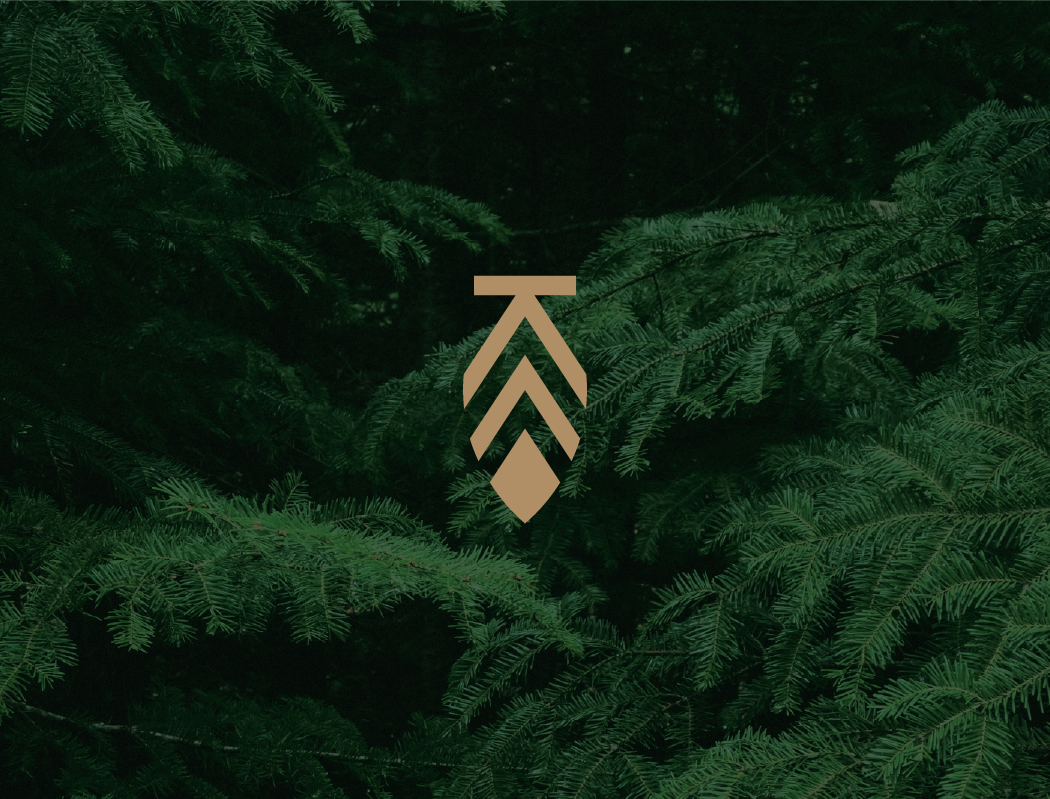 Green pine branches with a beige geometric arrow logo in the center.