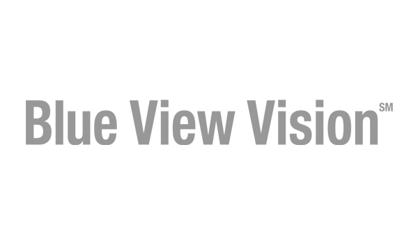 Gray background with centered text that reads 'Blue View Vision' in large bold letters.