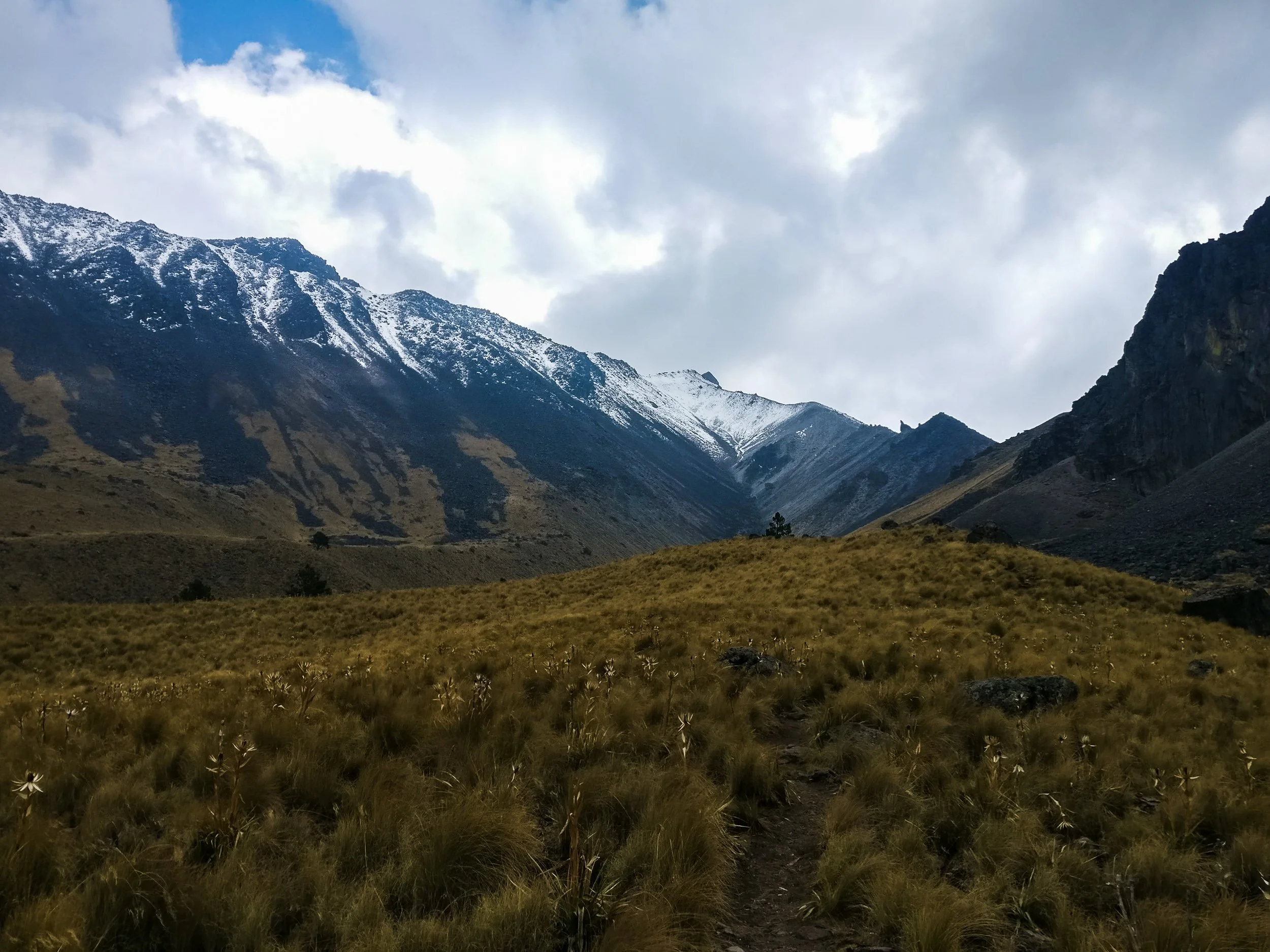 A mountainous landscape with snow-capped peaks, a cloudy sky, and a grassy foreground with a trail.