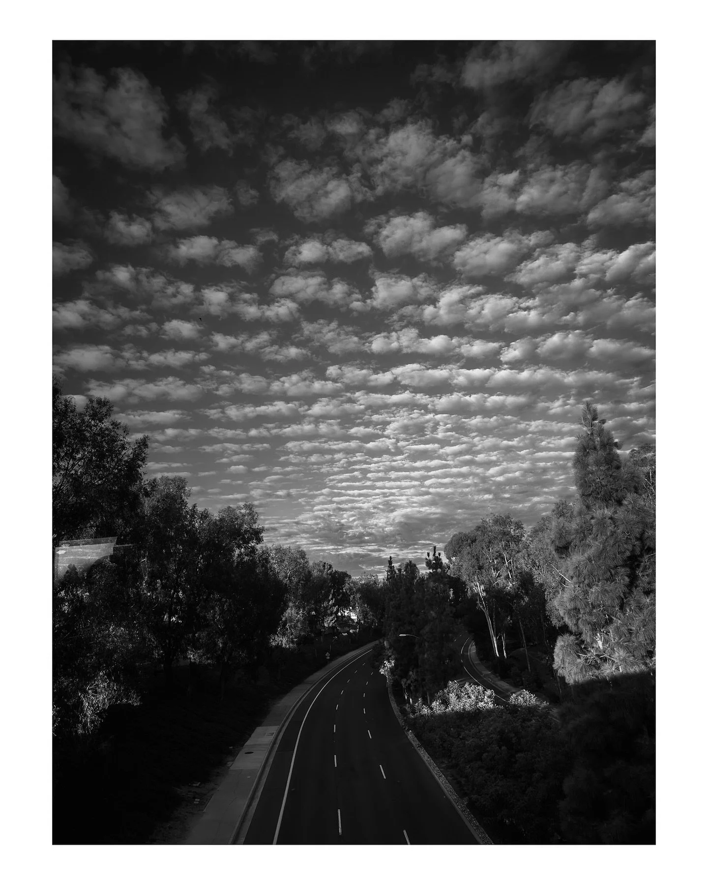 This was a non scheduled stop near Irvine, CA. 

Resuming my daily train rides with @amtrak I wish they had a bigger schedule. 

Shot RAW with iPhone 15pro + Lightroom app. 

#iphone #lightroom #photography