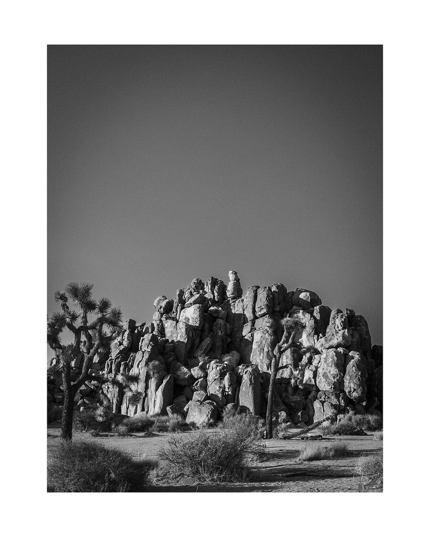 Joshua Tree en alg&uacute;n momento del a&ntilde;o pasado. Las rocas no miden el tiempo. No distinguen antes de despu&eacute;s. Solo acumulan estratos de luz y sombras, mil&iacute;metro a mil&iacute;metro, durante millones de a&ntilde;os. Despu&eacut