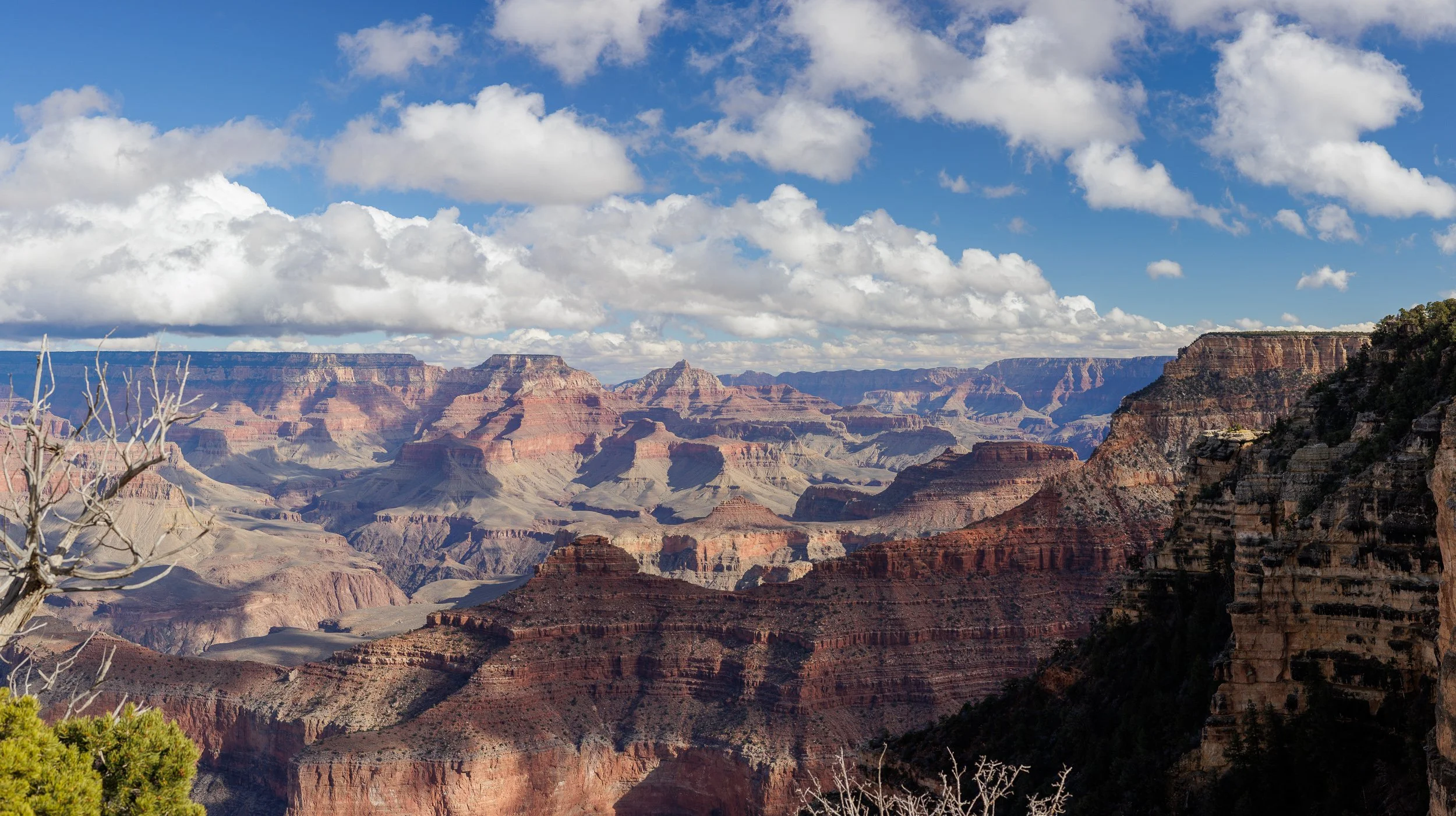Panoramic view of the Grand Canyon with layered rock formations, a partly cloudy sky, and some trees in the foreground.