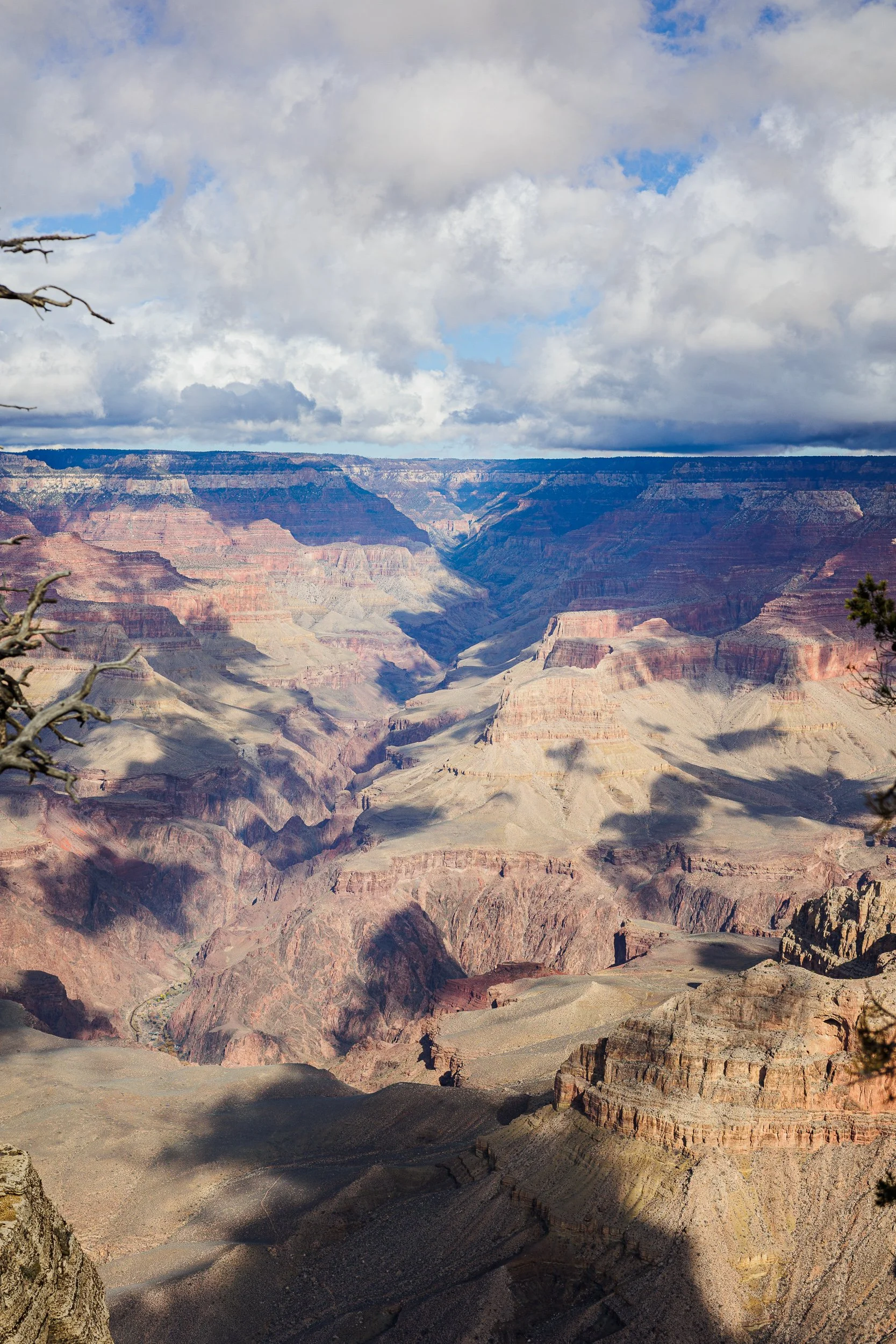 View of the Grand Canyon with layered colorful rock formations, cloudy sky, and some tree branches in the foreground.