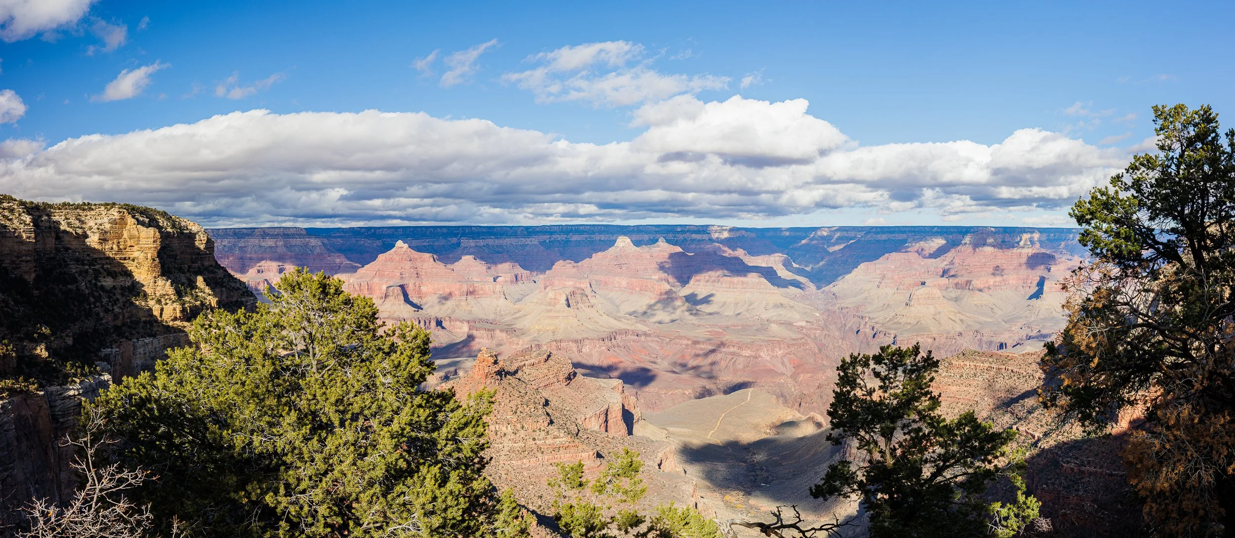 View of the Grand Canyon with layered red, brown, and beige rock formations, green trees in the foreground, and a partly cloudy sky overhead.