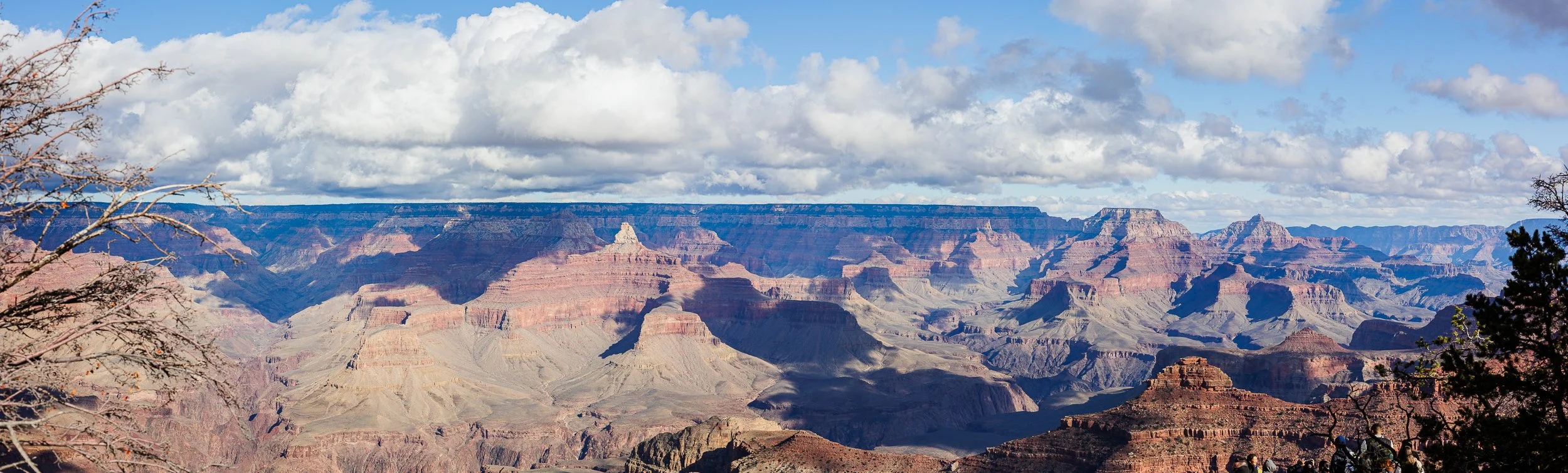 Wide view of the Grand Canyon with layered rock formations, some trees in the foreground, and a partly cloudy sky.