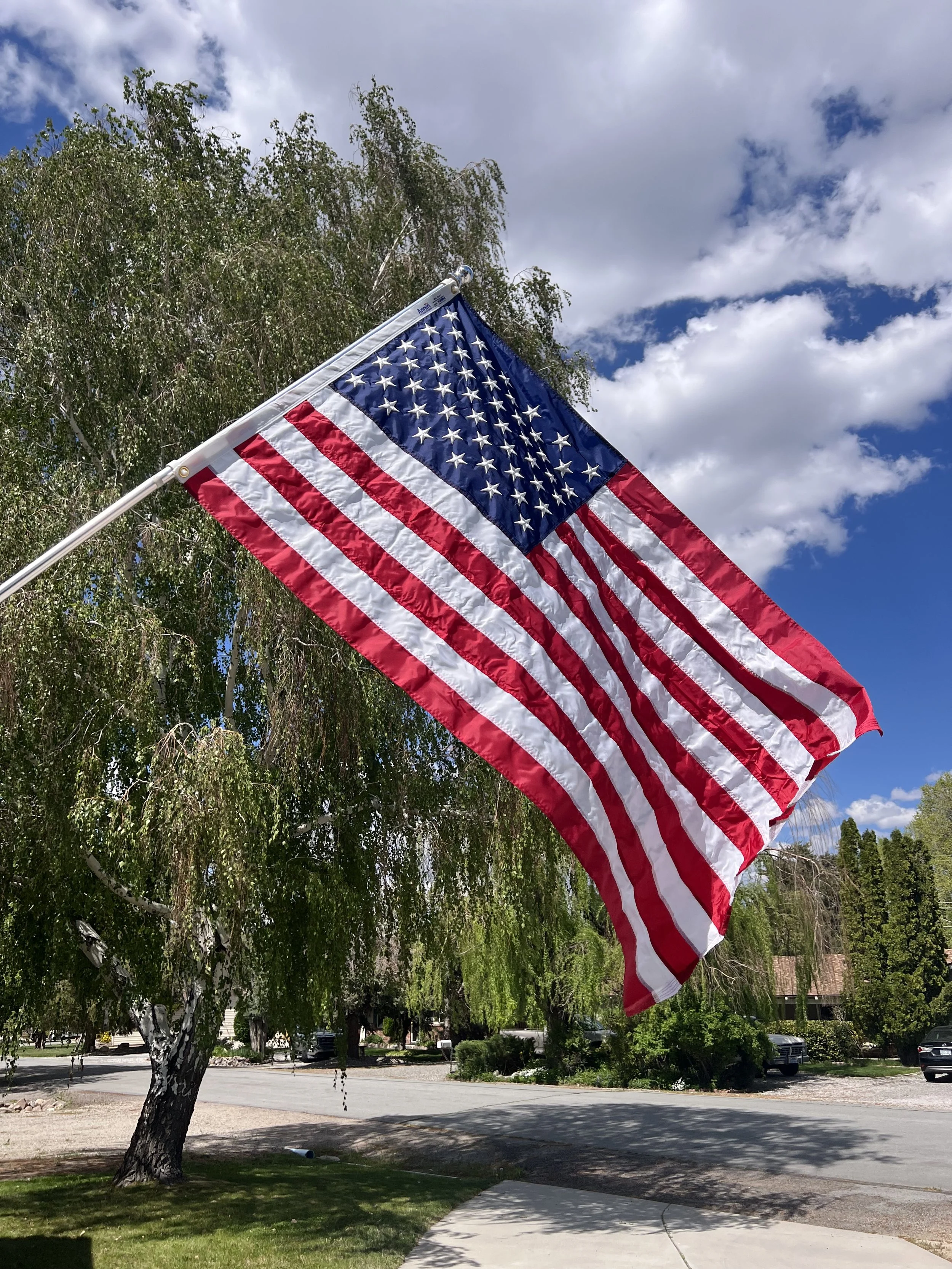 An image of Greenspacing.