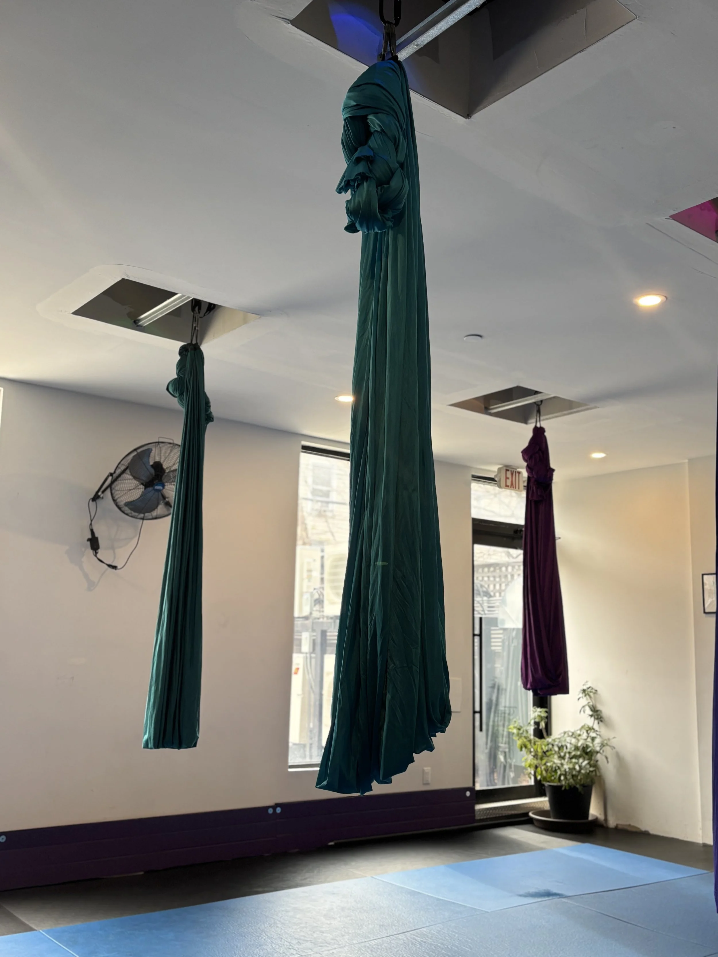 Indoor space with hanging aerial silks in teal and purple, a black adjustable fan on the wall, a window with sunlight, a potted plant, and blue mats on the floor.