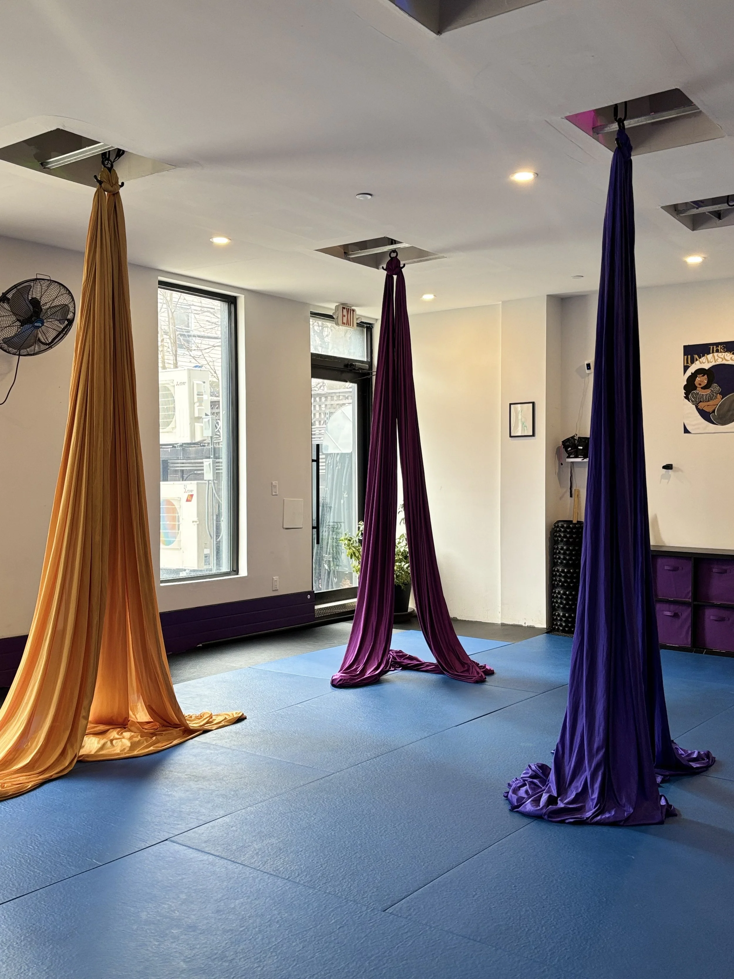 Aerial silk fitness studio with three colorful hanging fabric silks in orange, purple, and blue on a blue mat, near large windows, with a ceiling fan and art on the walls.