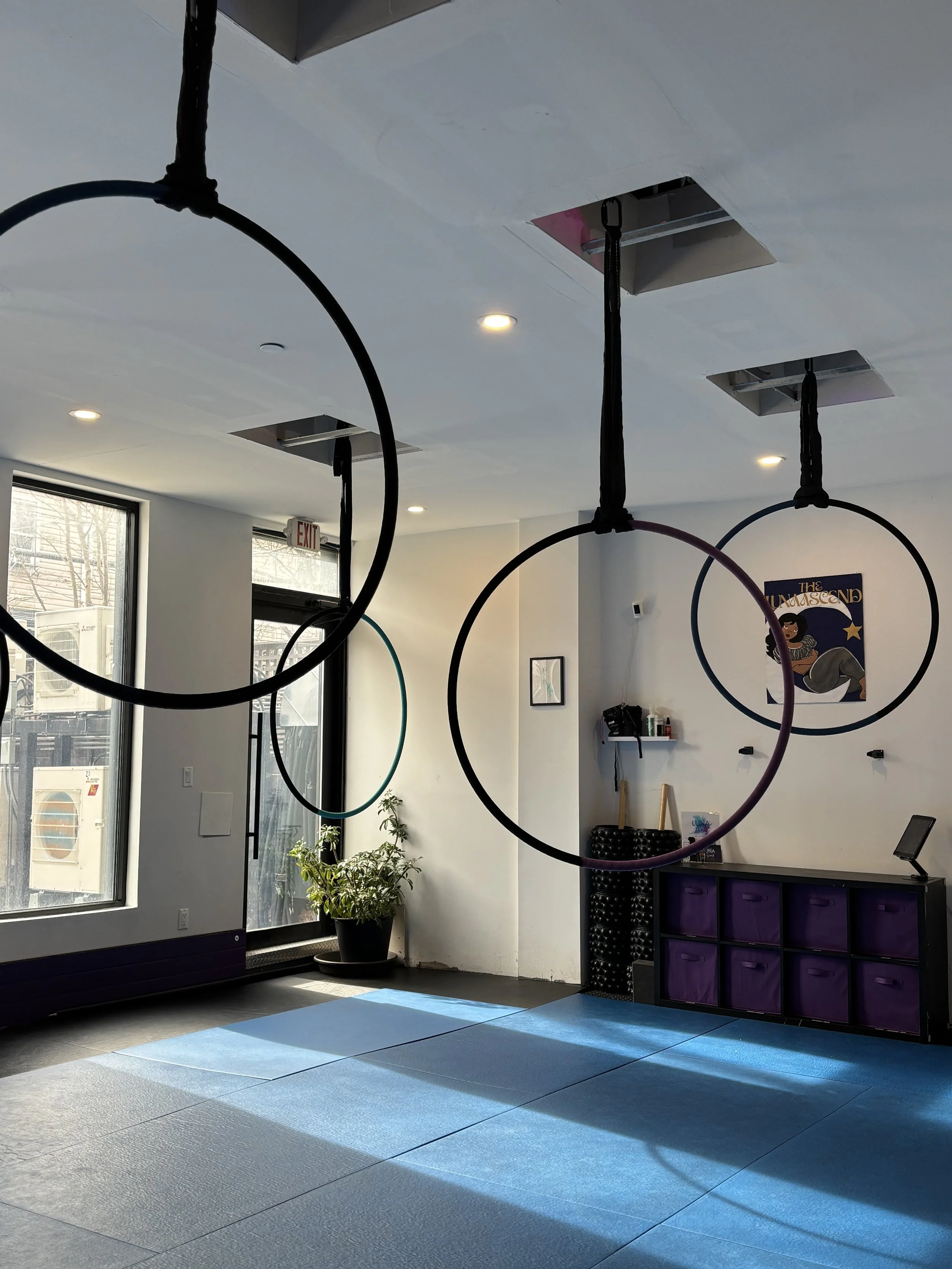 Indoor fitness studio with hanging exercise rings, a potted plant, purple cubbies, a poster on the wall, and sunlight coming through large windows