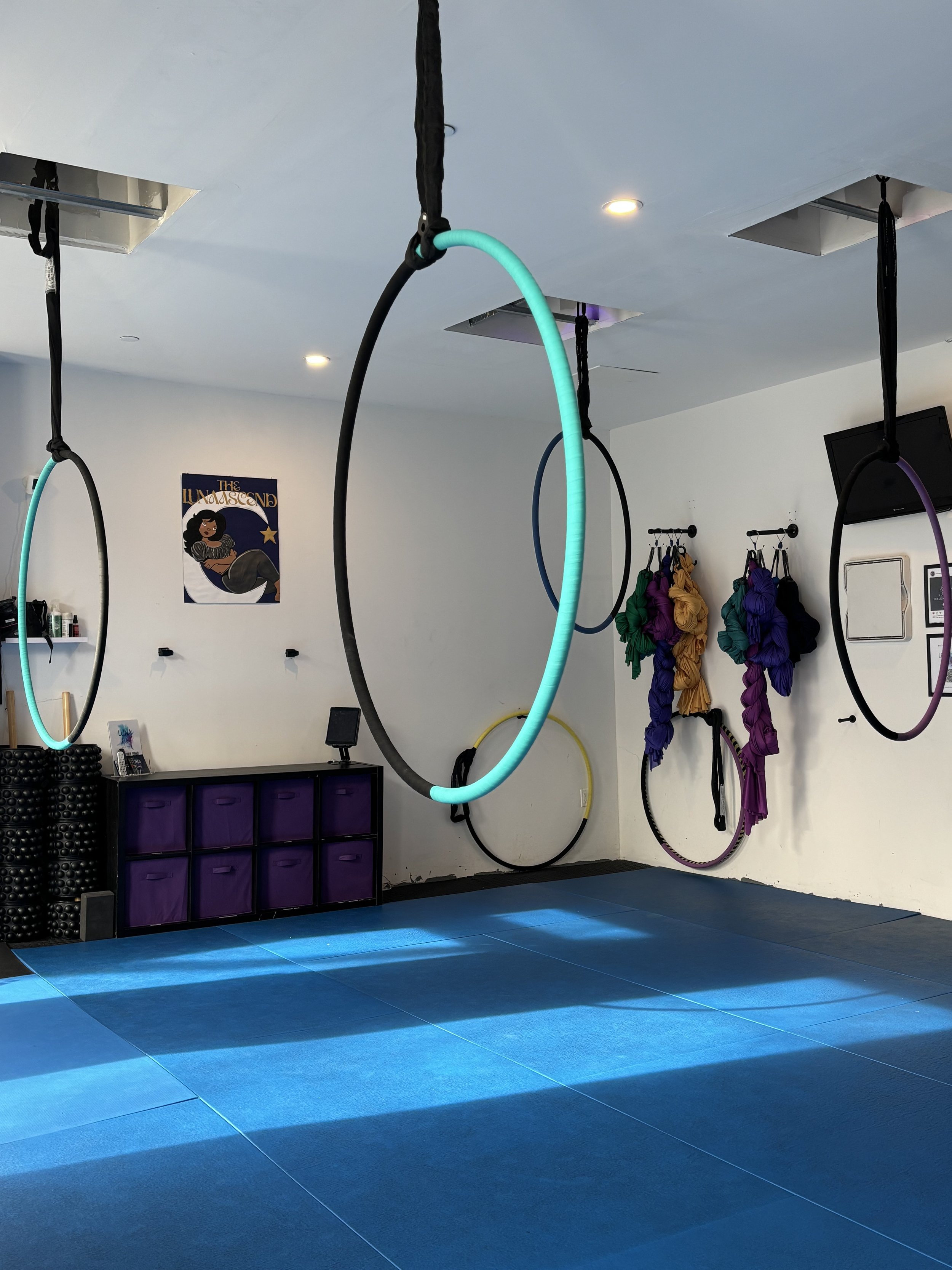 Indoor fitness studio with blue mats, hanging aerial hoops, and colorful fabric straps on wall.