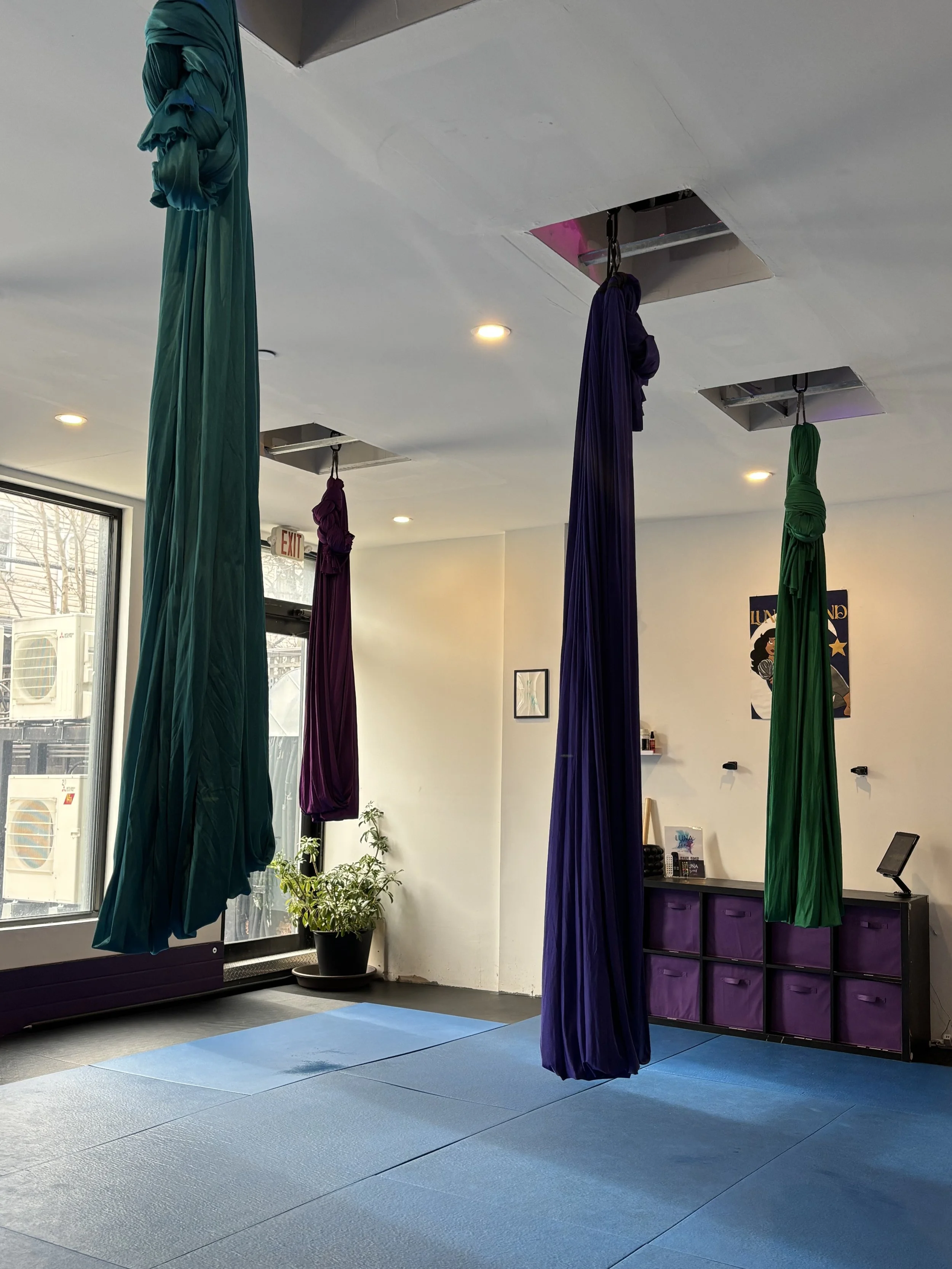 Indoor aerial yoga studio with four colorful fabric hammocks hanging from ceiling, blue mats on floor, a large window with sunlight, a potted plant, and a purple storage unit with cubbies.
