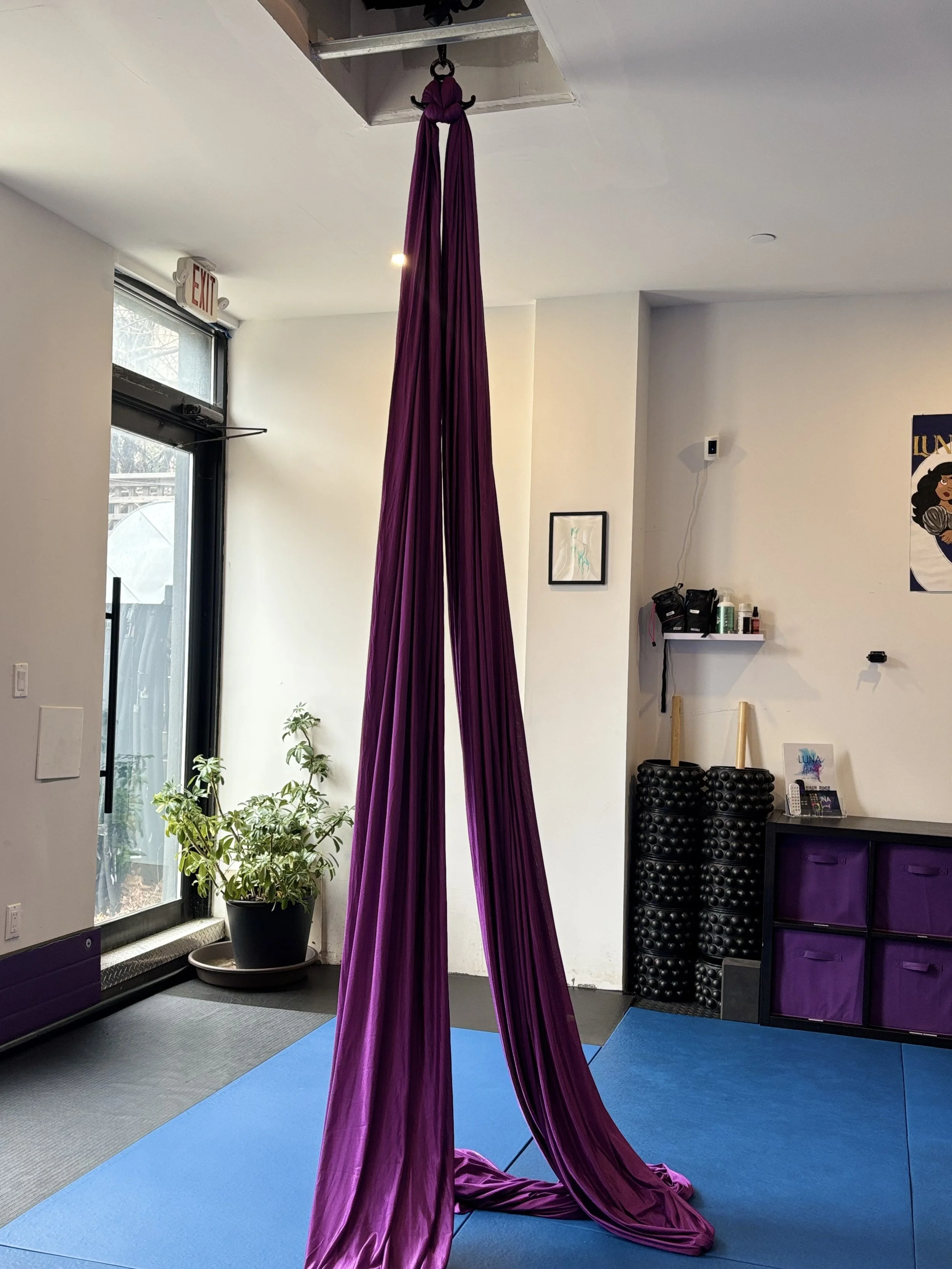 Indoor aerial silk training setup with purple silk fabric hanging from the ceiling, blue mat on the floor, potted plant near a window, and gym equipment against the wall.
