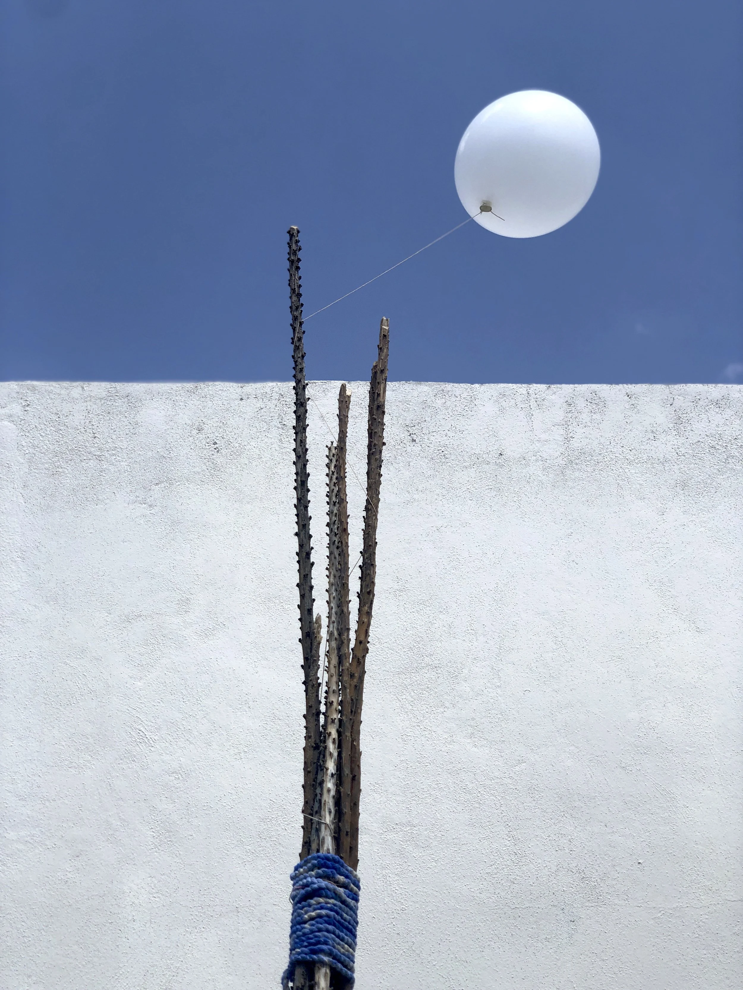 globito.jpg